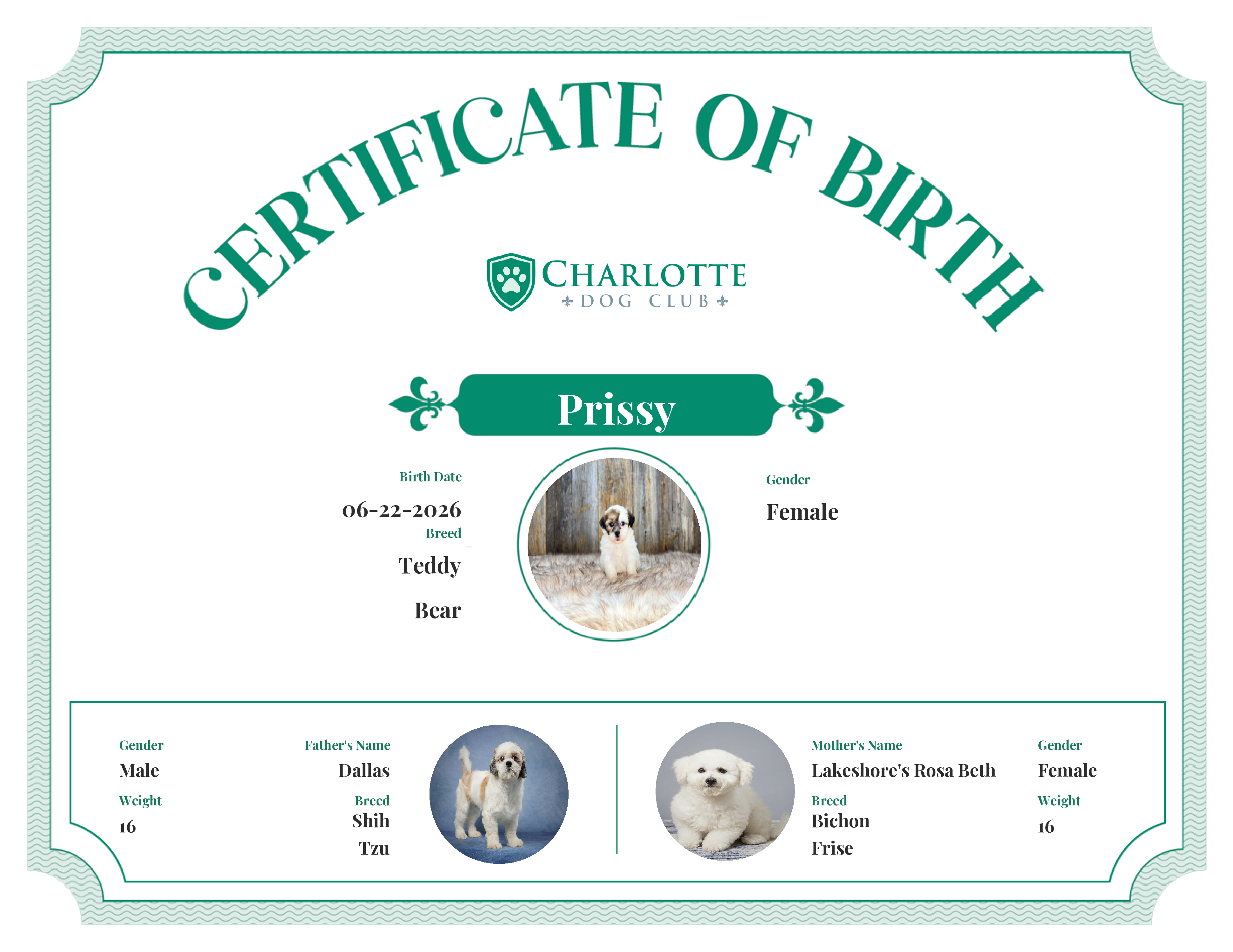 Prissy's Birth Certificate