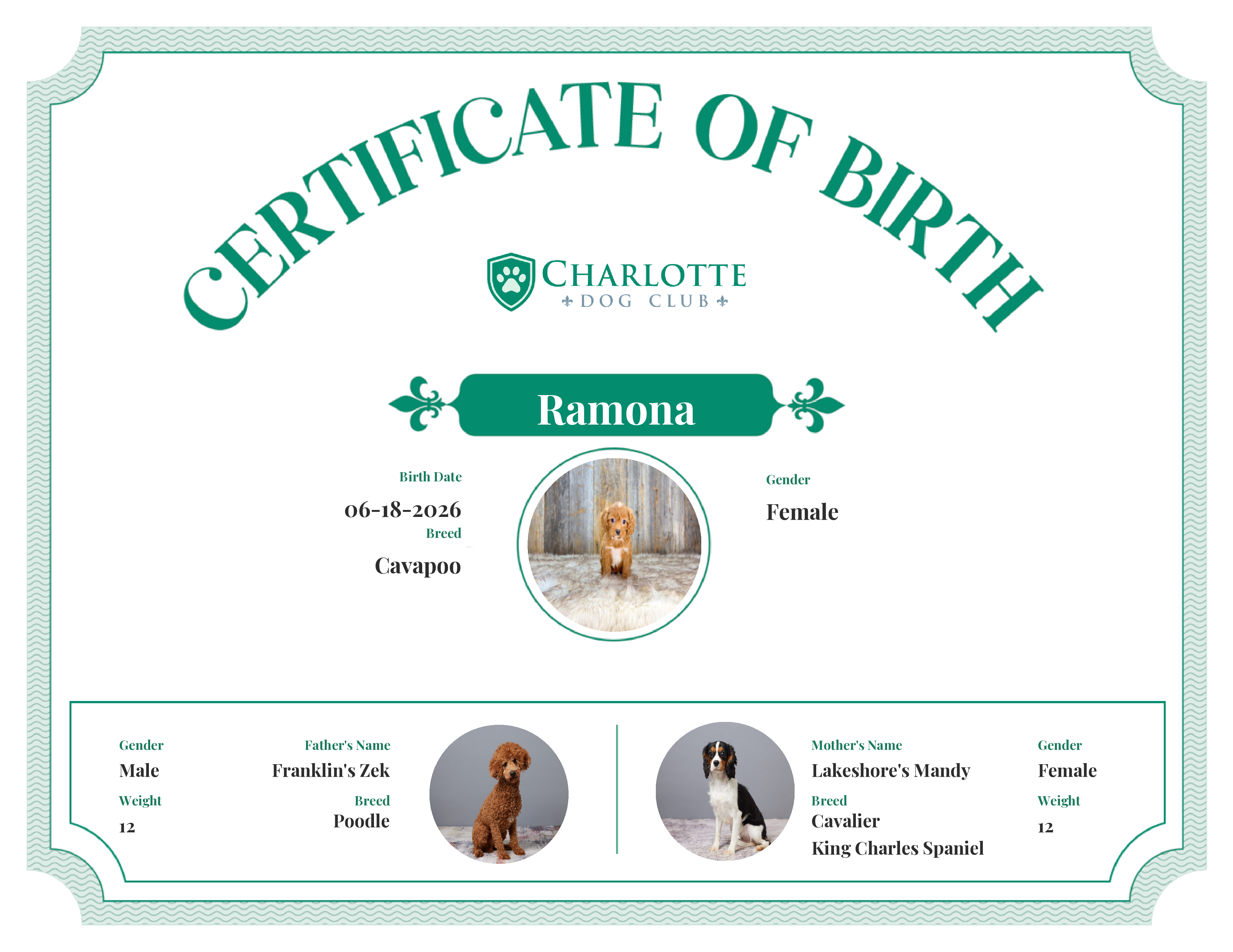 Ramona's Birth Certificate