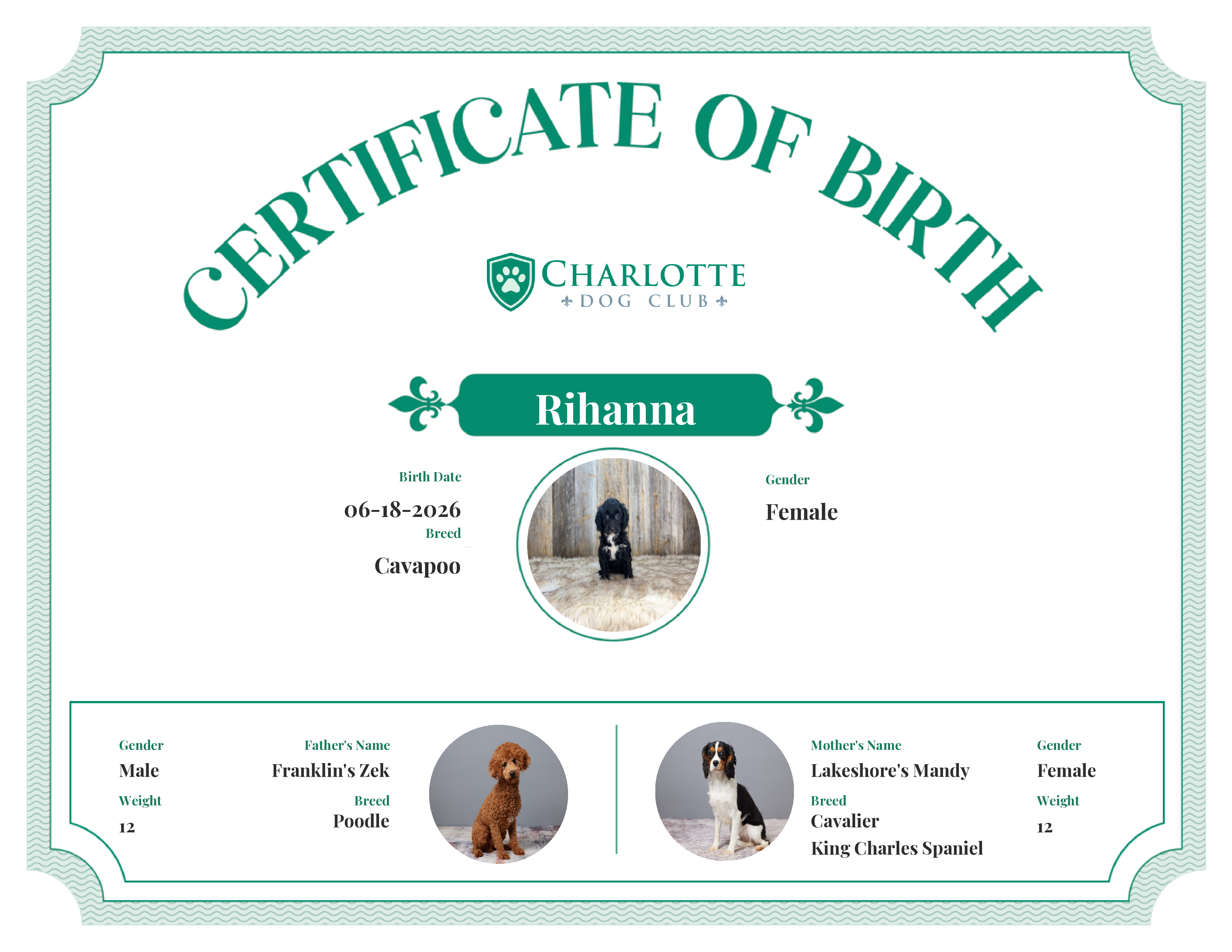 Rihanna's Birth Certificate