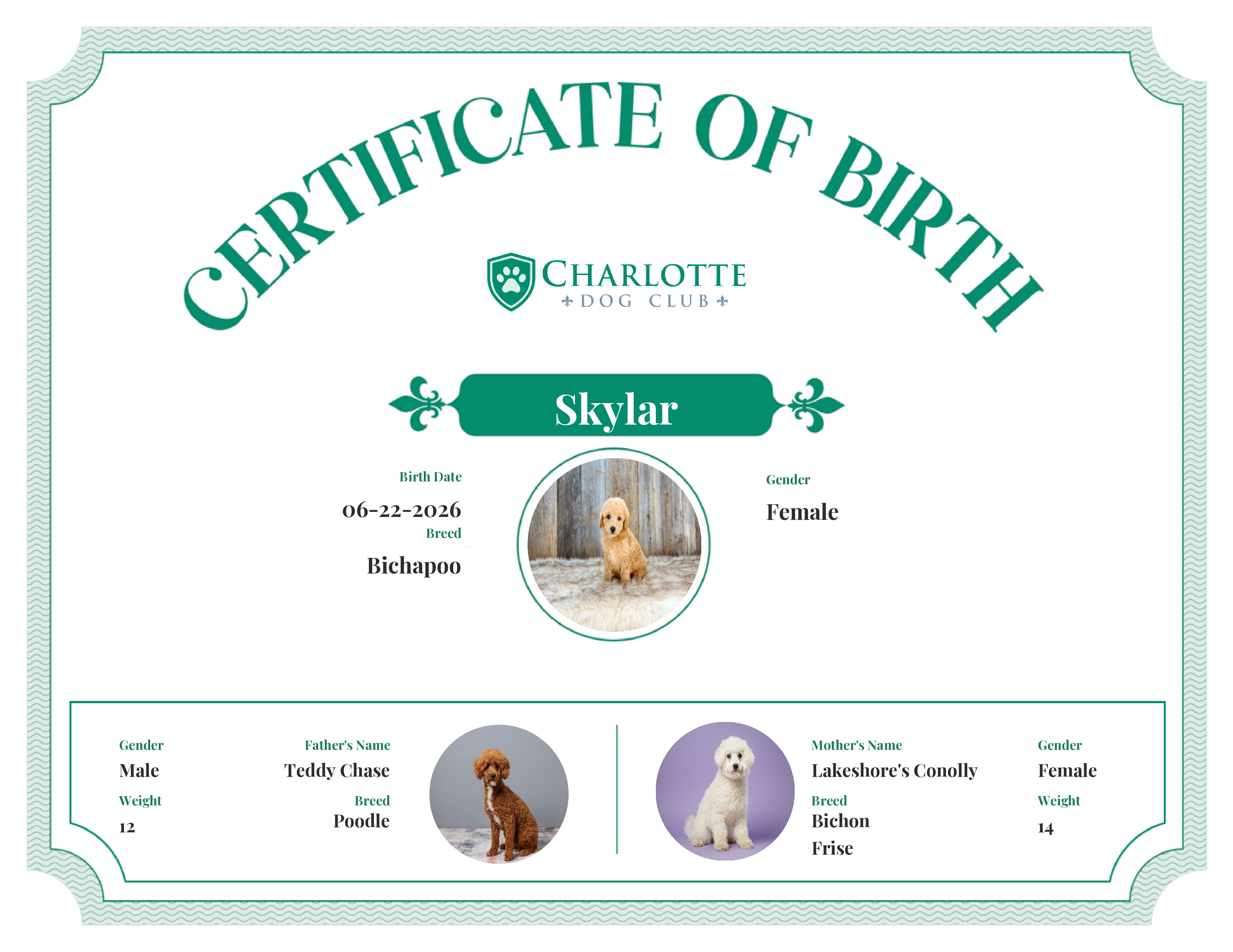 Skylar's Birth Certificate