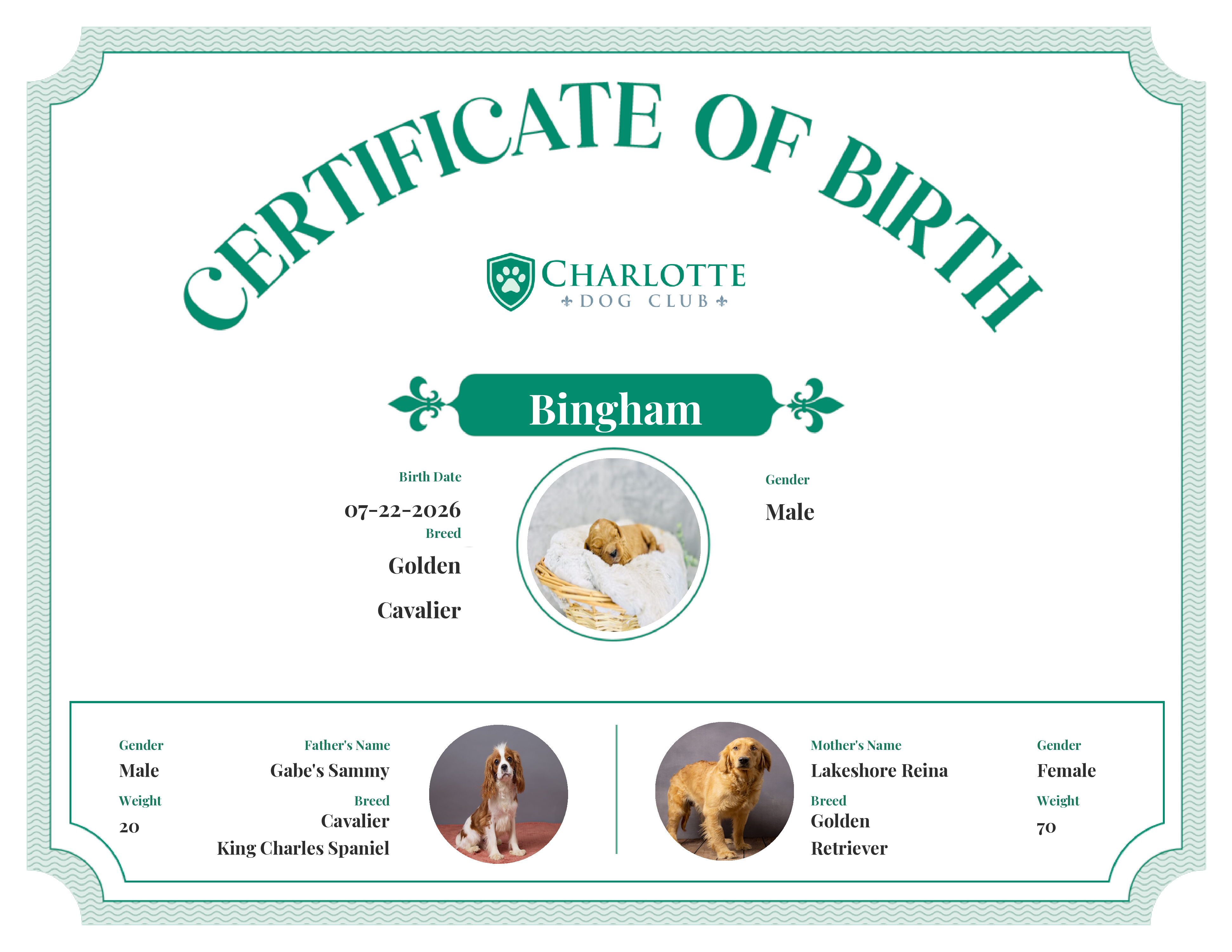 Bingham's Birth Certificate