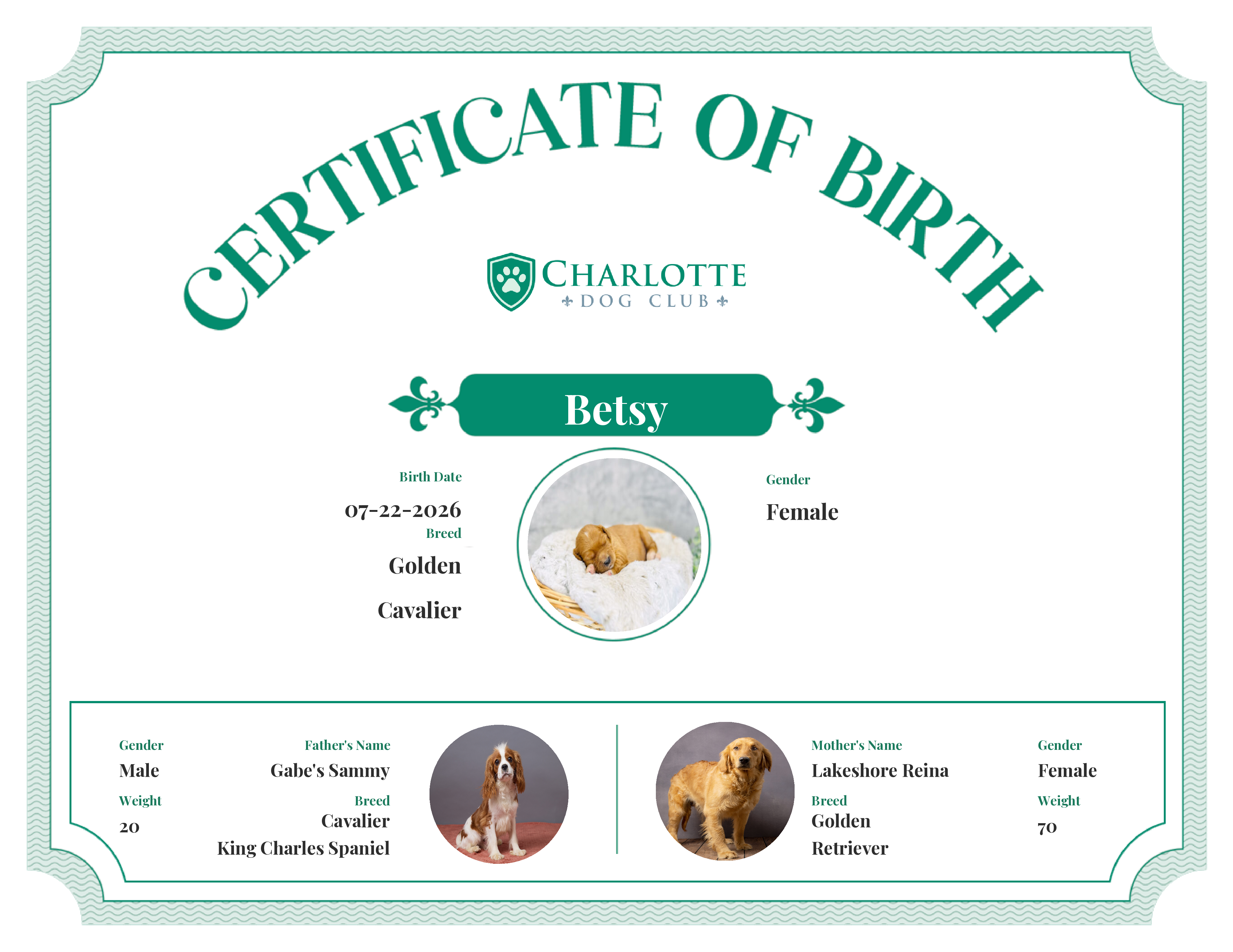 Betsy's Birth Certificate