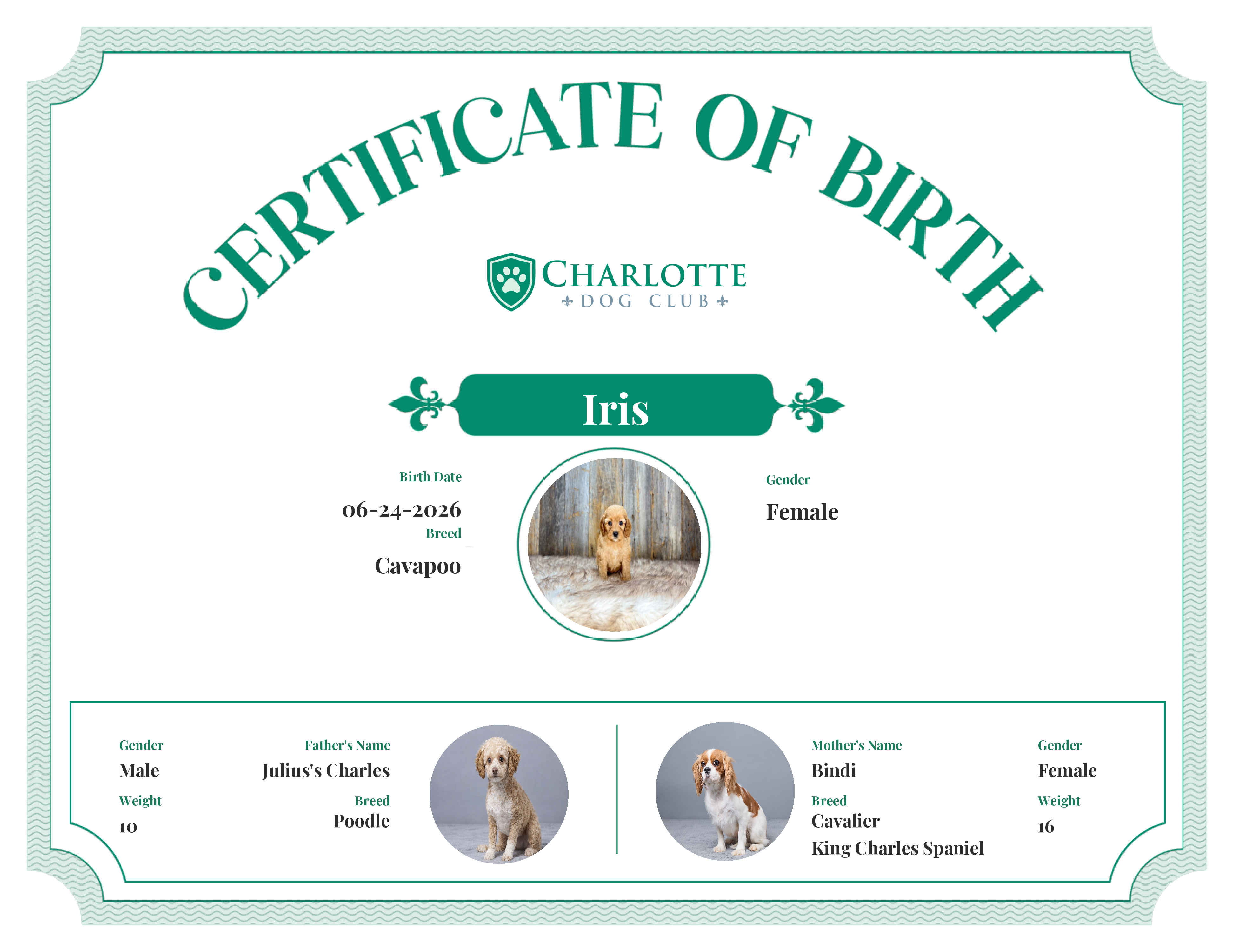 Iris's Birth Certificate