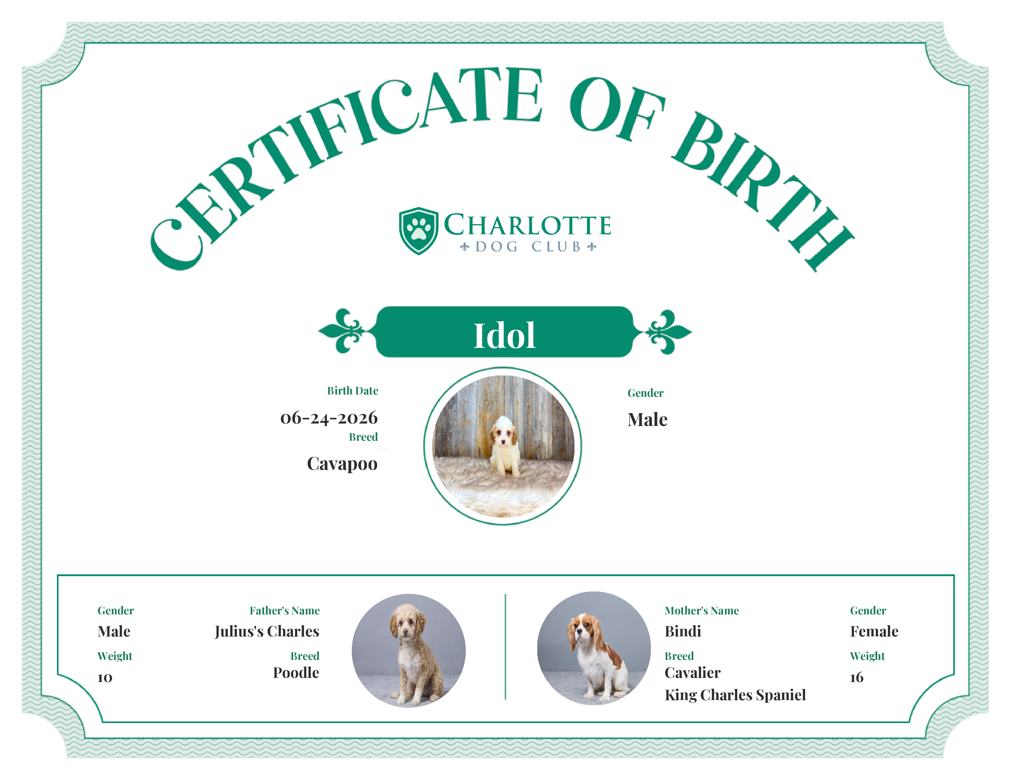Idol's Birth Certificate