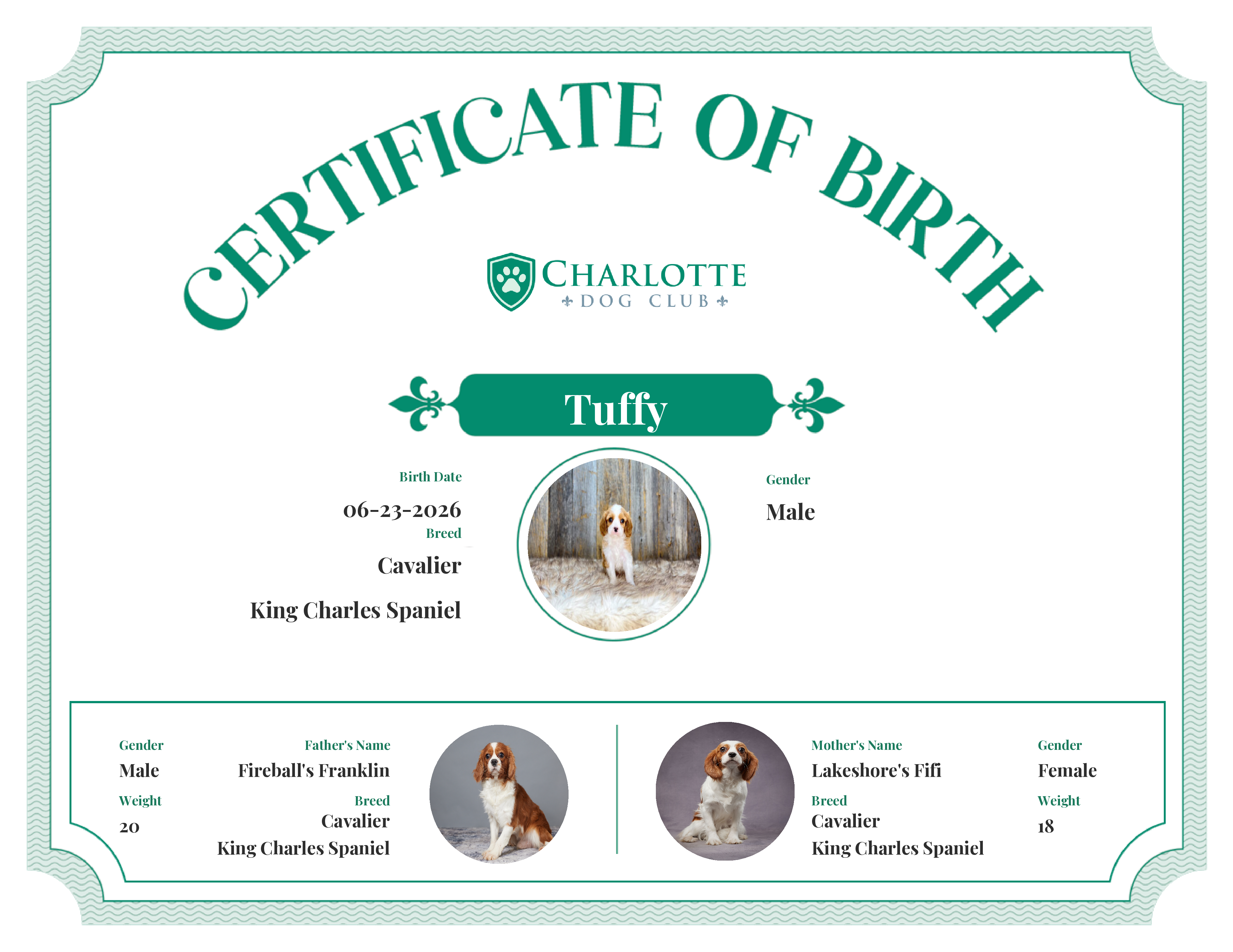 Landry's Birth Certificate