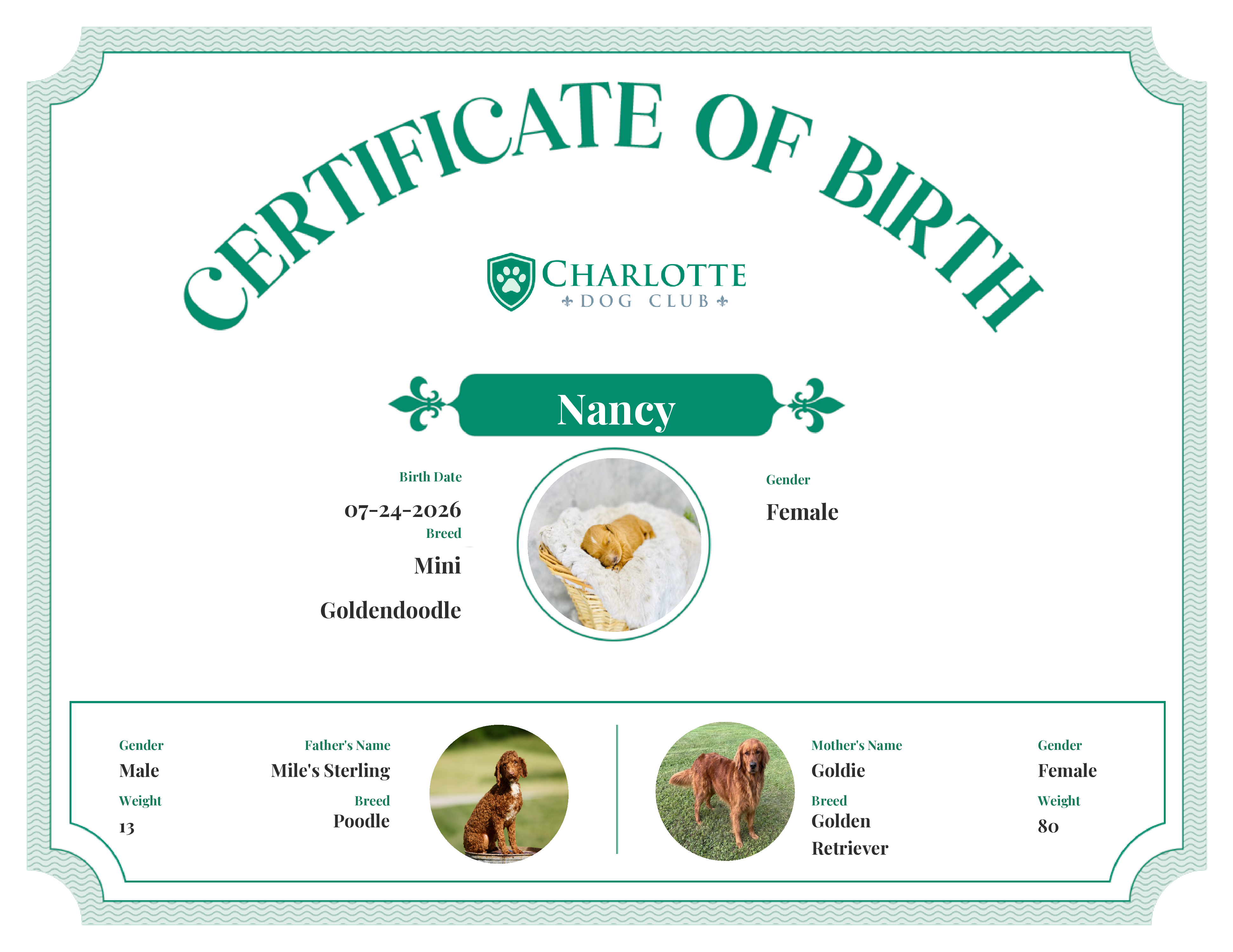 Nancy's Birth Certificate