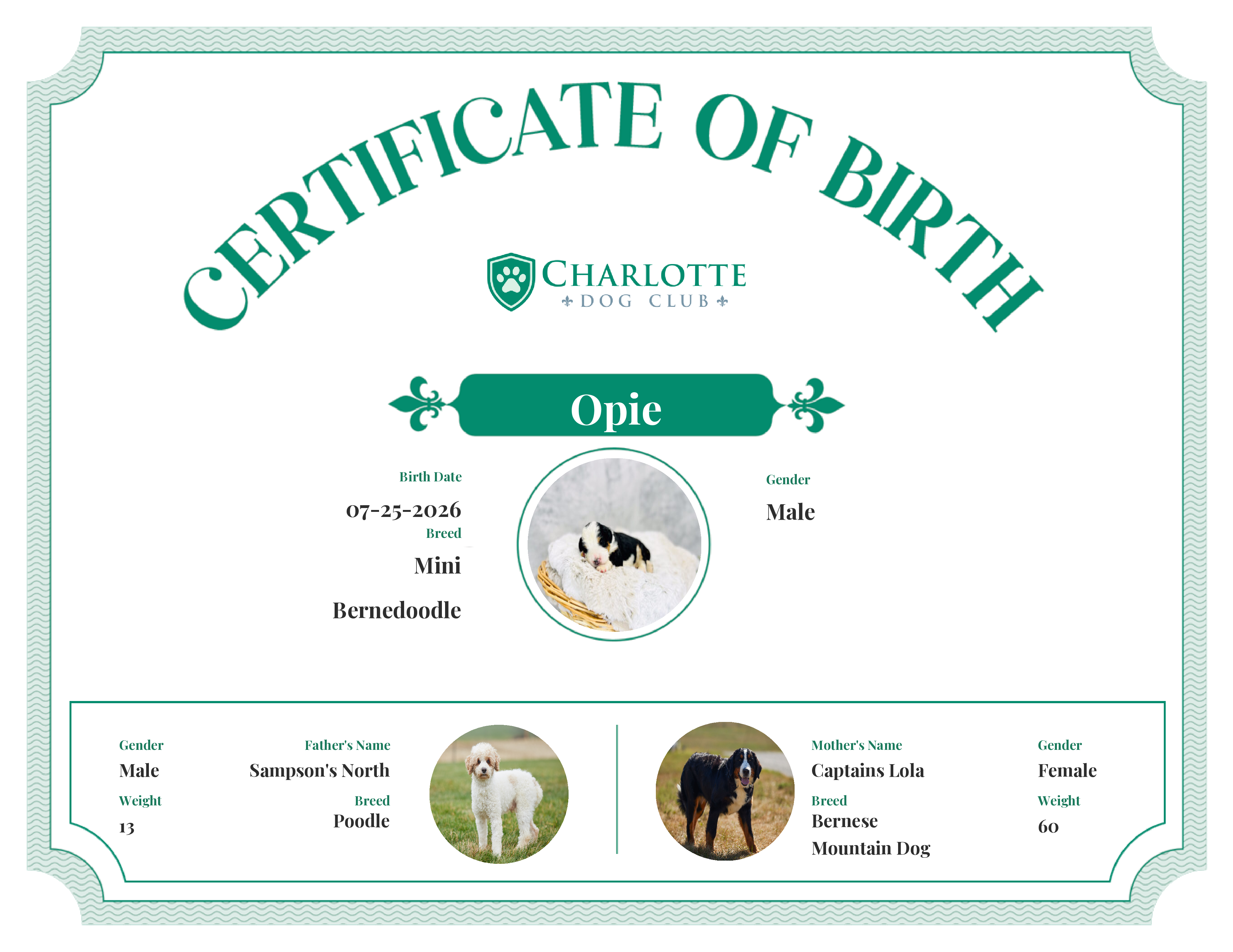 Opie's Birth Certificate
