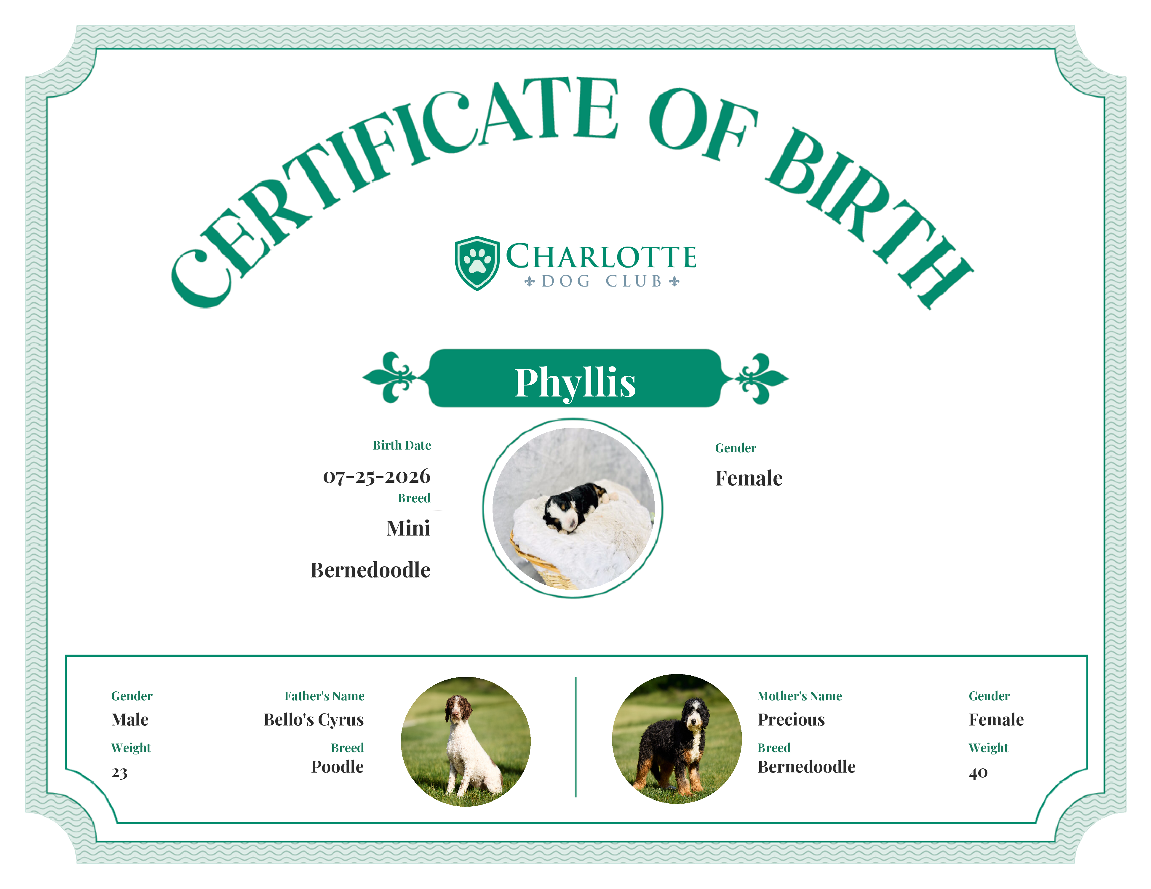Phyllis's Birth Certificate
