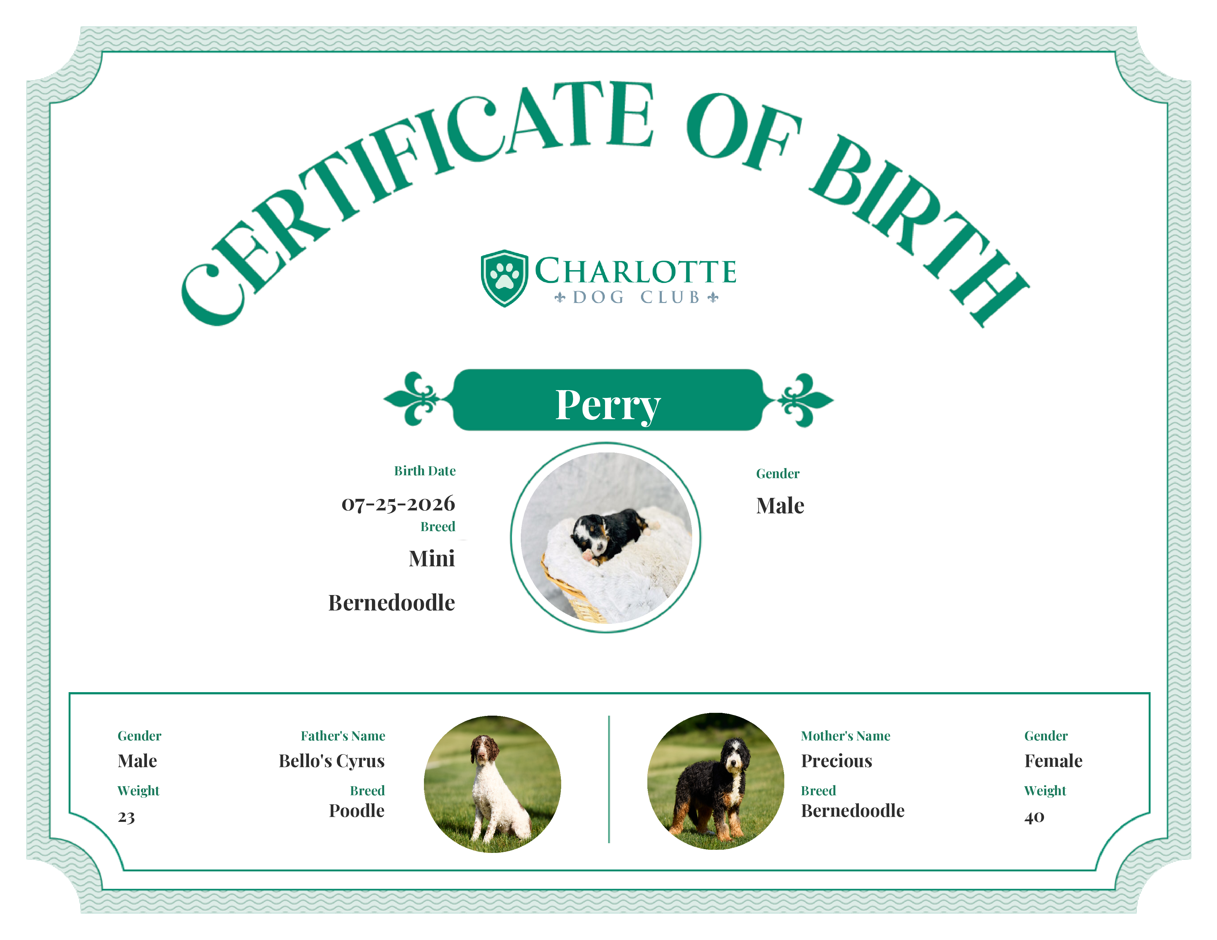 Perry's Birth Certificate