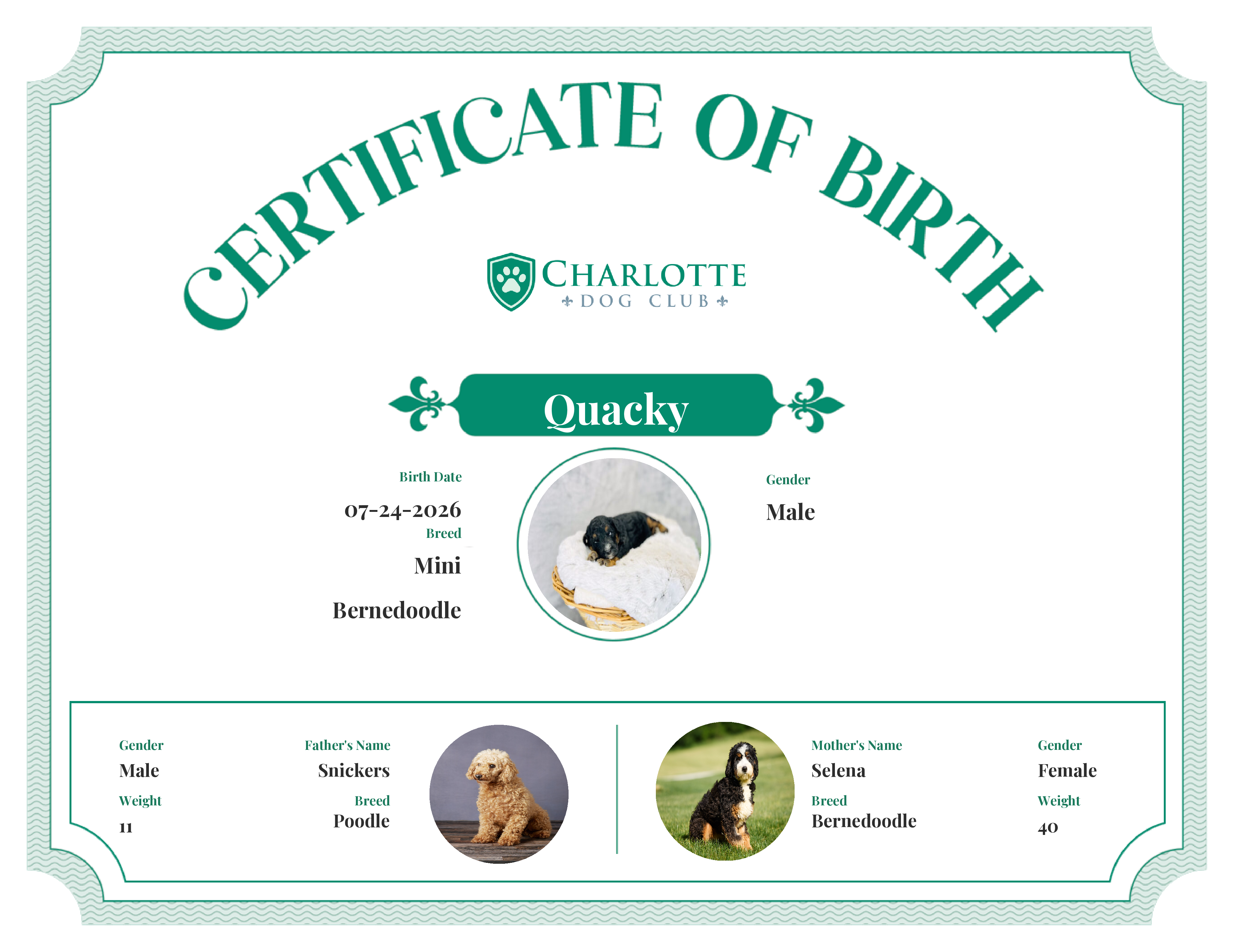 Quacky's Birth Certificate