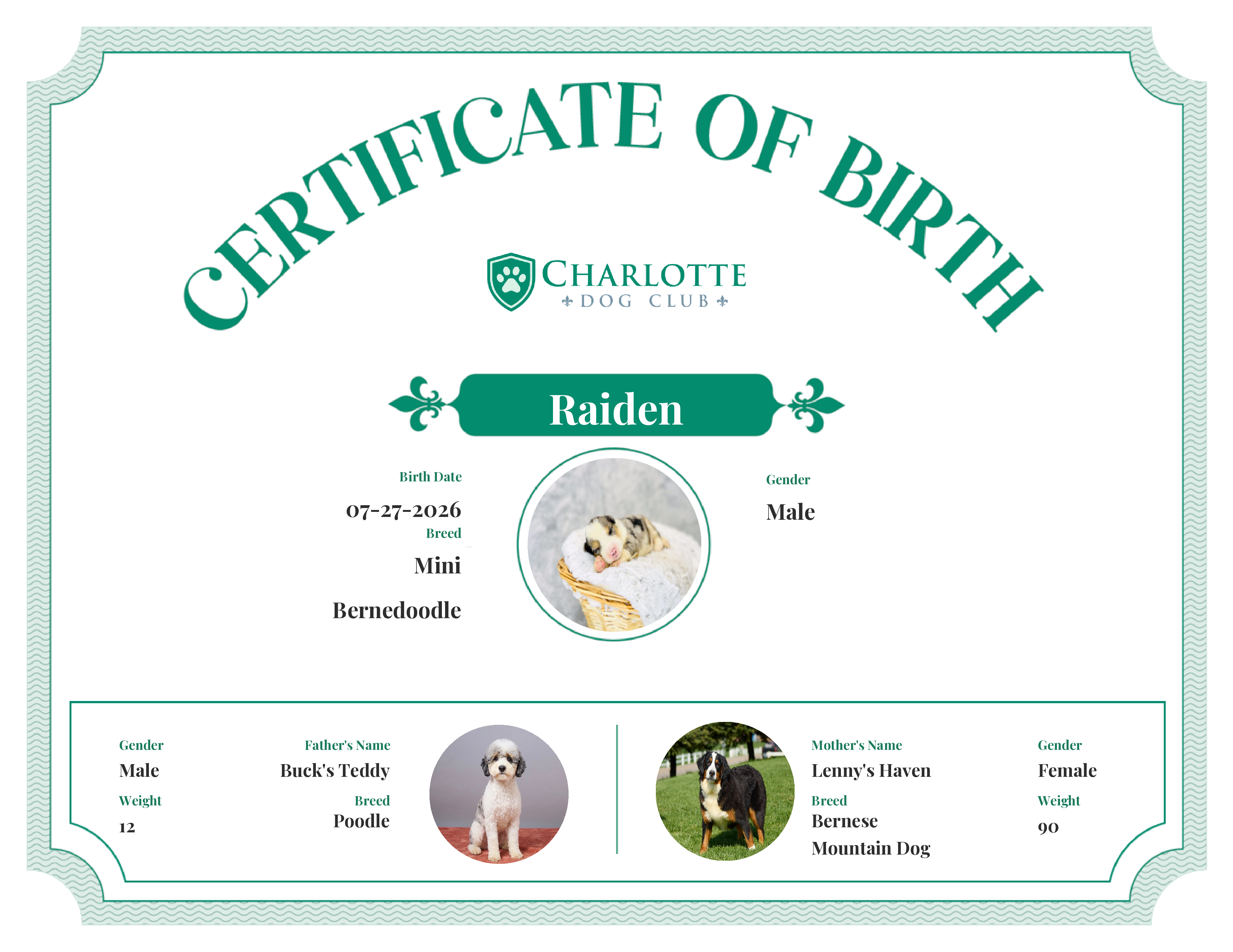 Raiden's Birth Certificate
