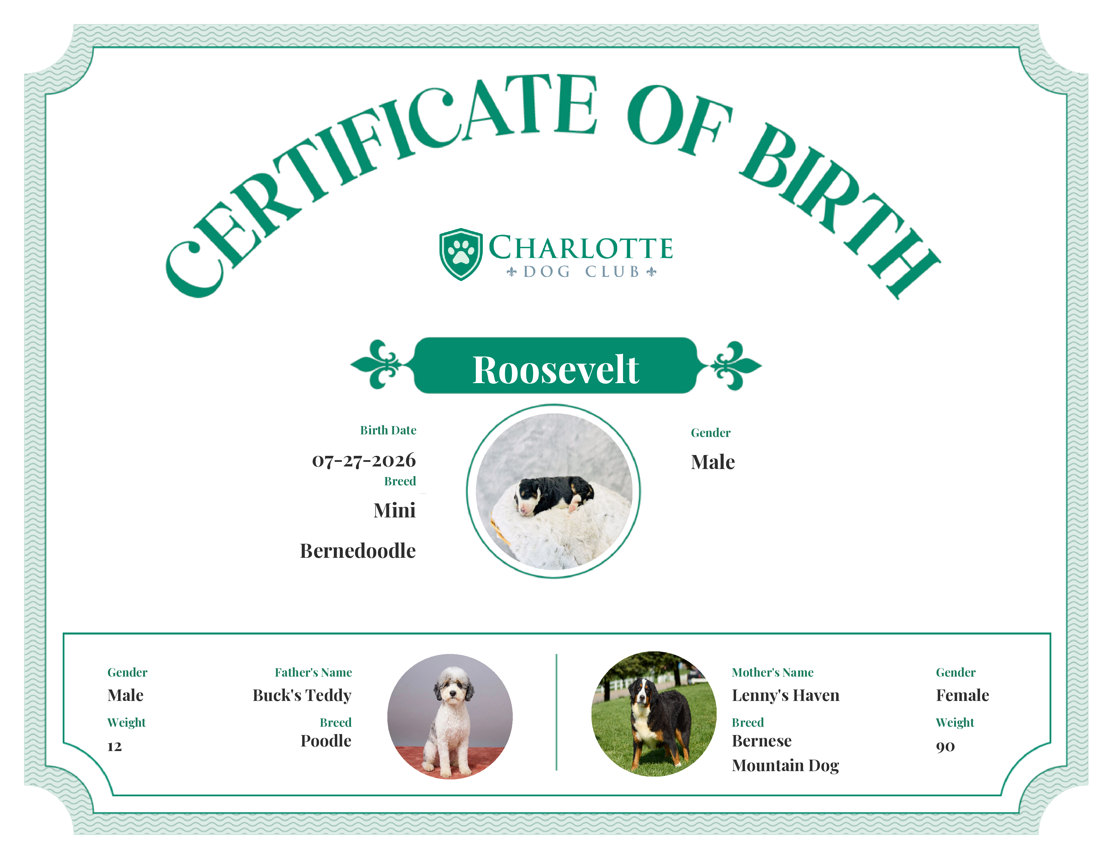 Roosevelt's Birth Certificate