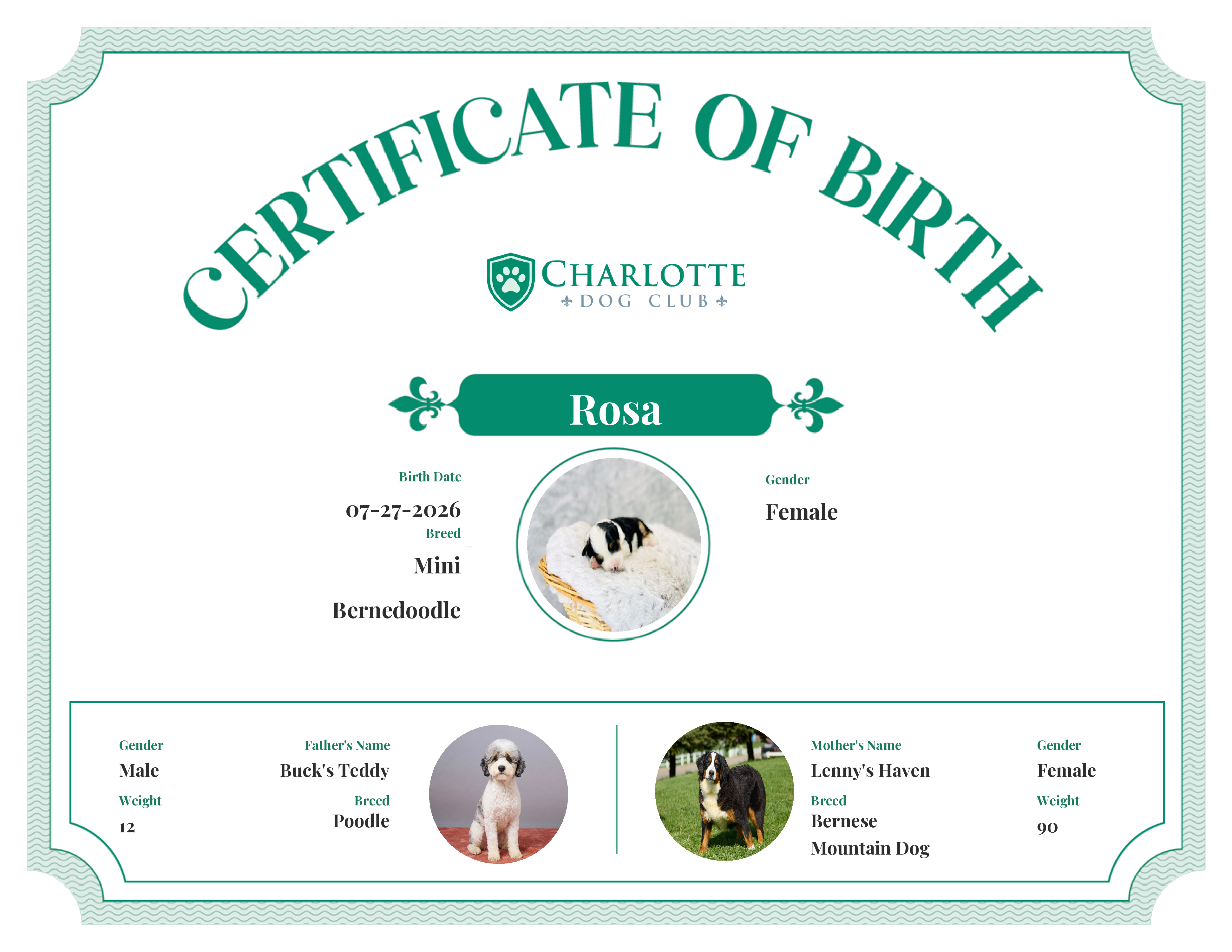 Rosa's Birth Certificate