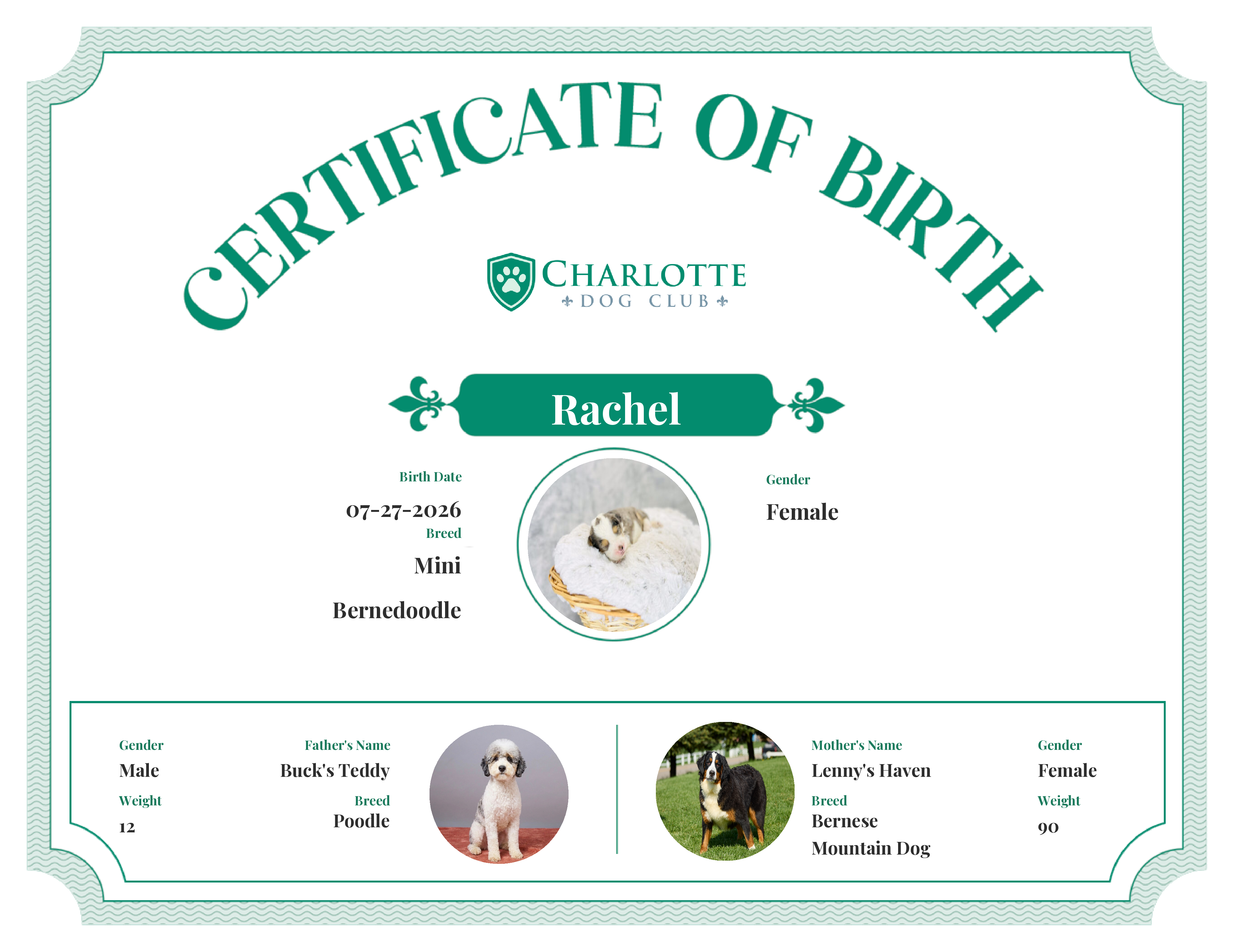 Rachel's Birth Certificate