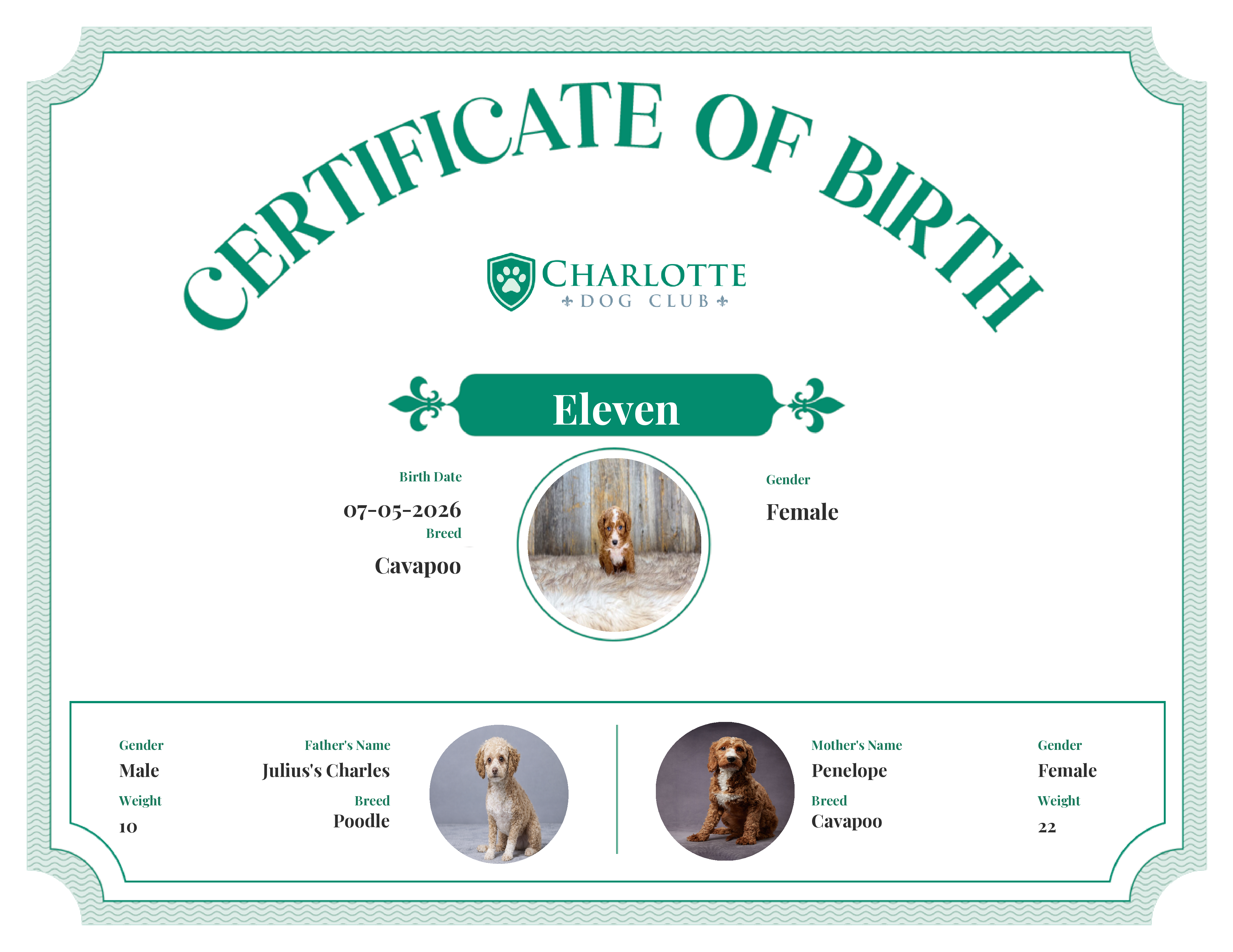 Eleven's Birth Certificate