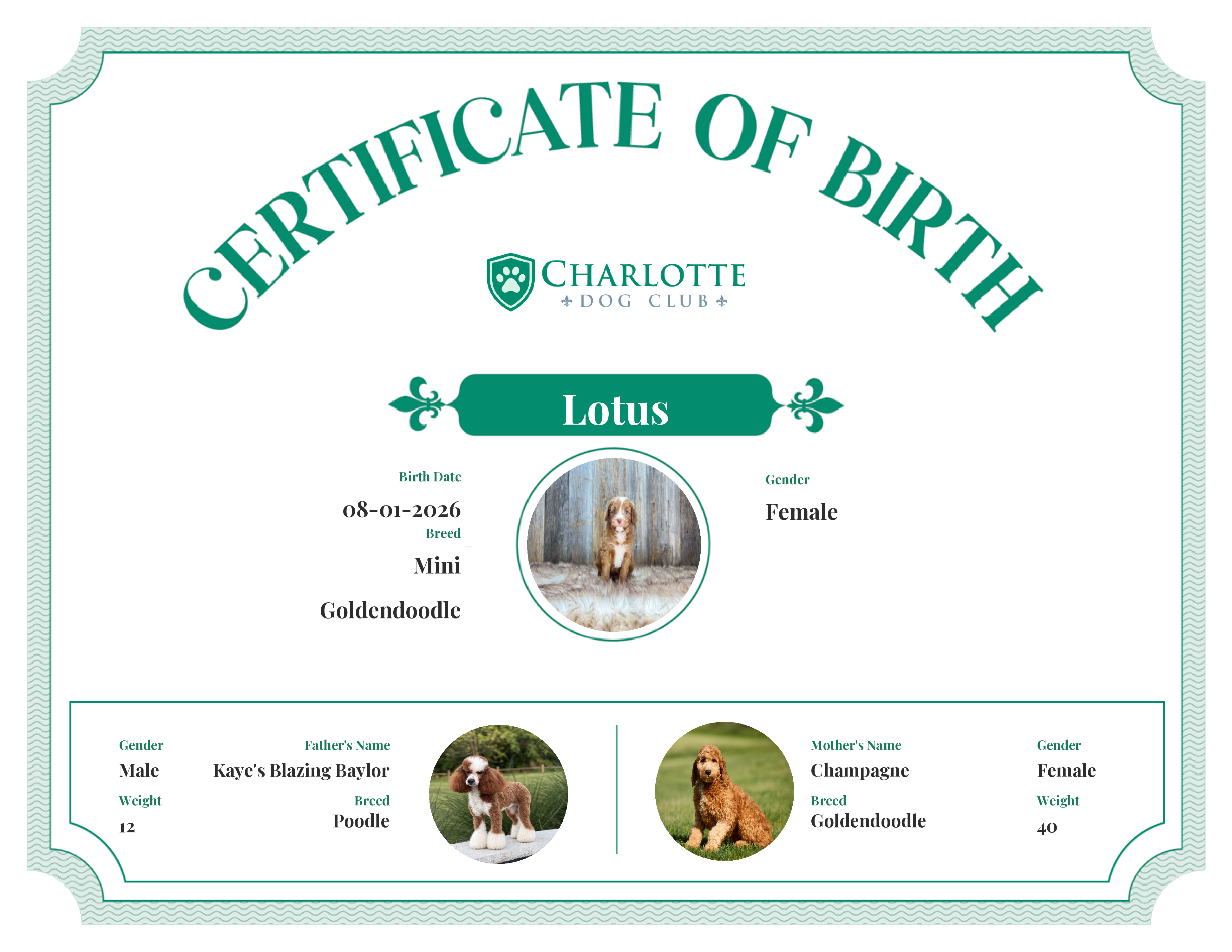 Lotus's Birth Certificate