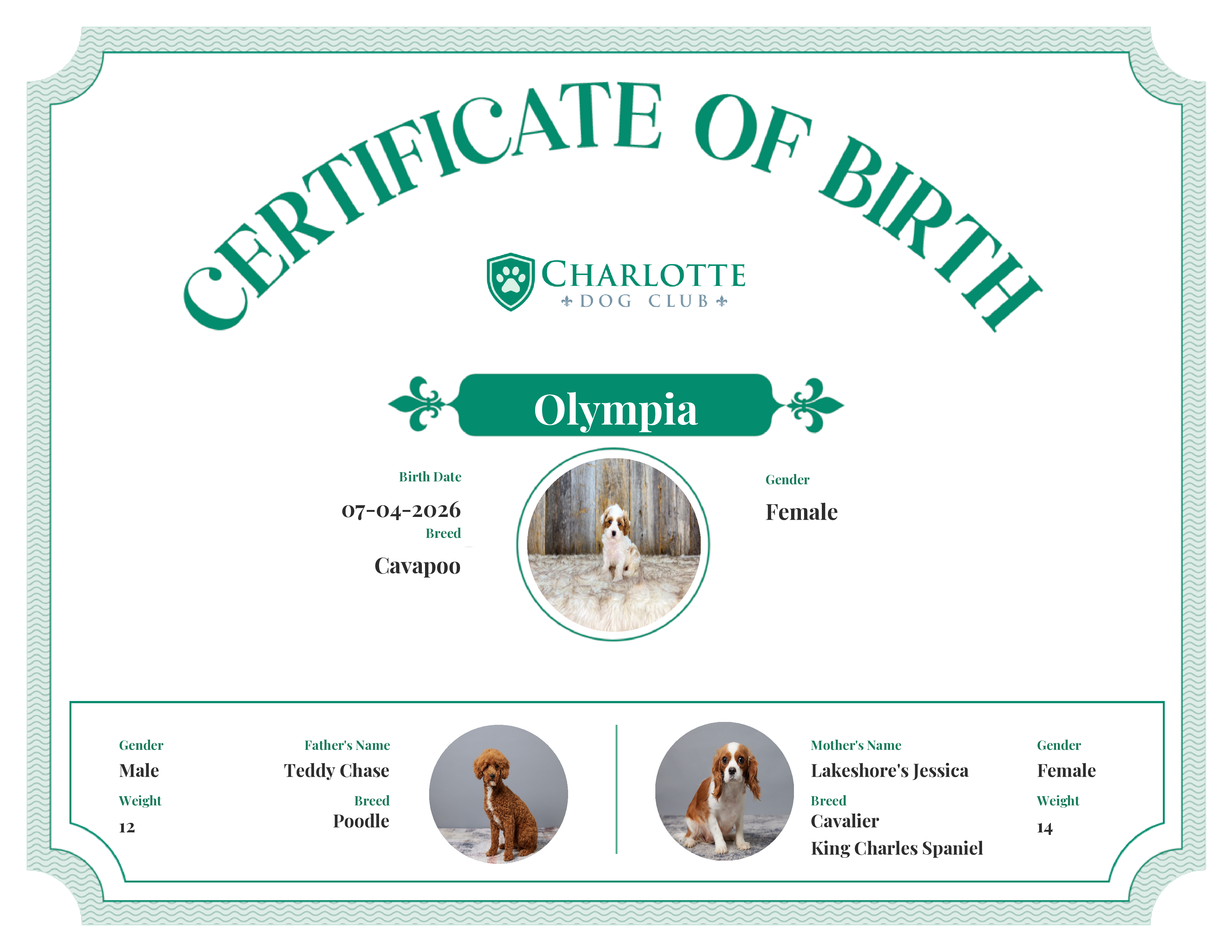 Olympia's Birth Certificate