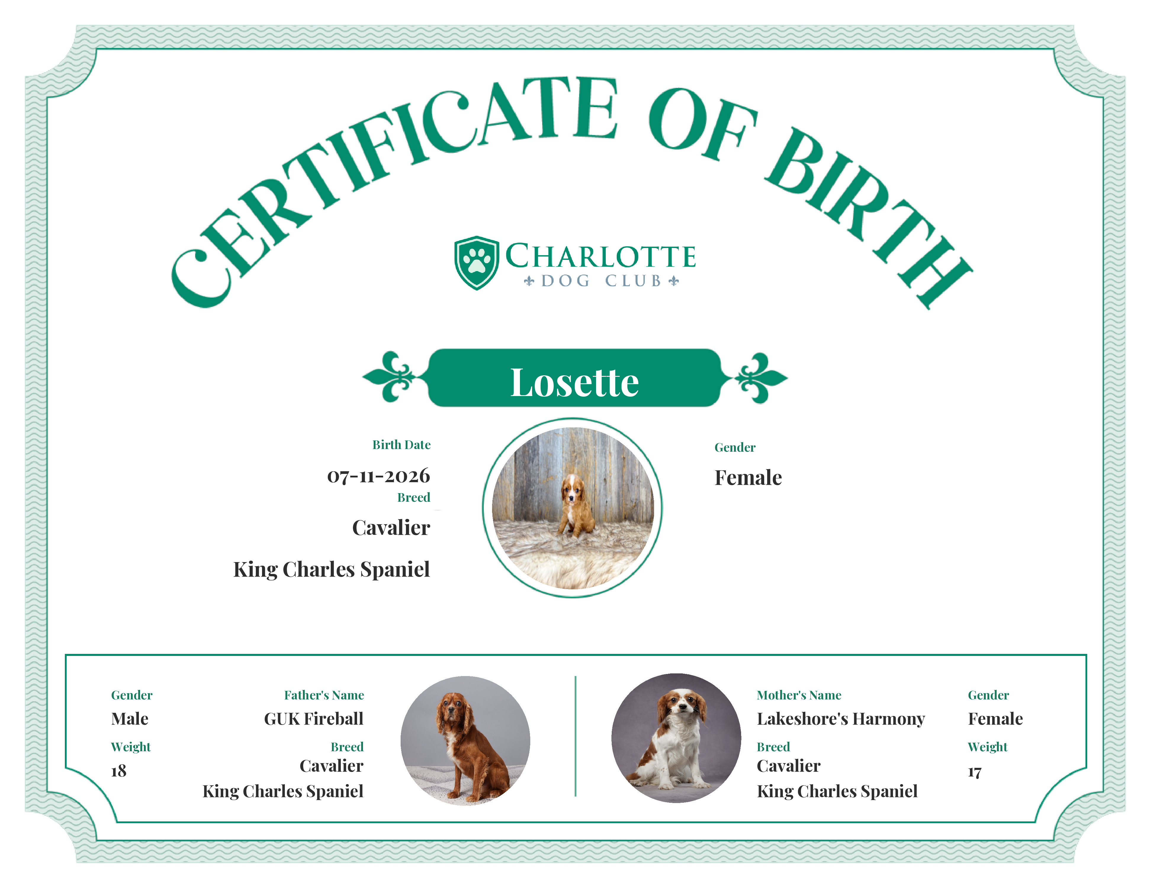Losette's Birth Certificate