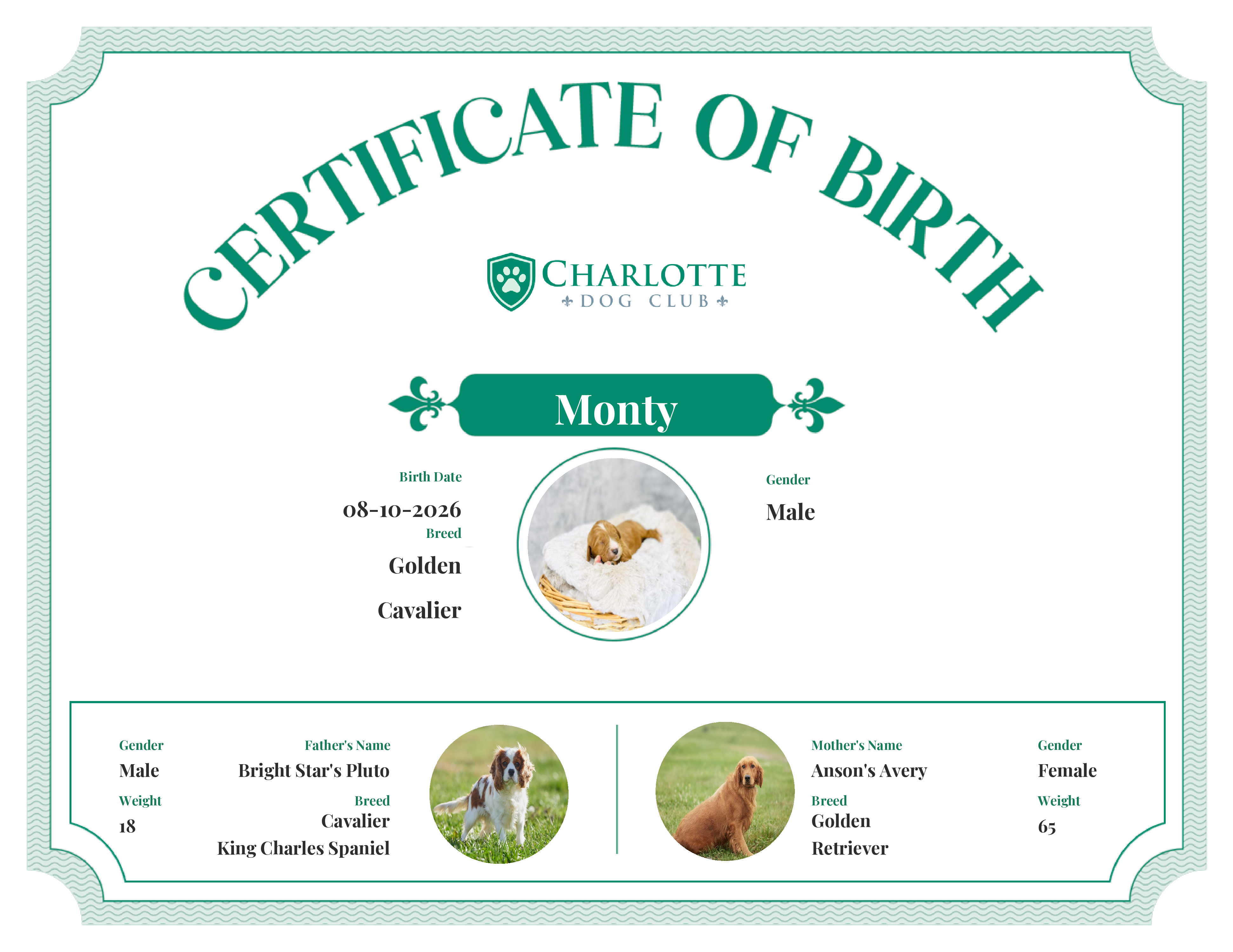 Monty's Birth Certificate