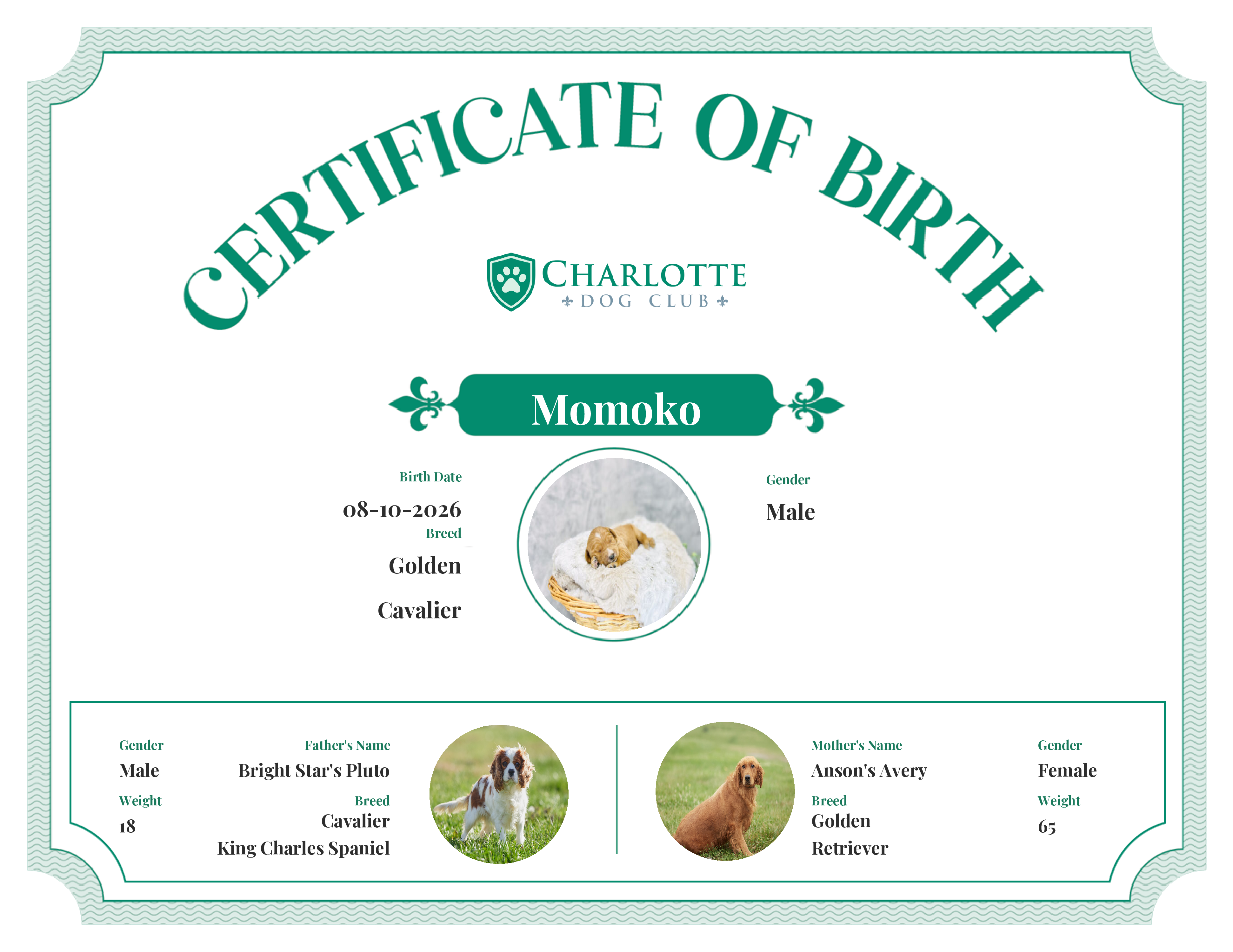 Momoko's Birth Certificate