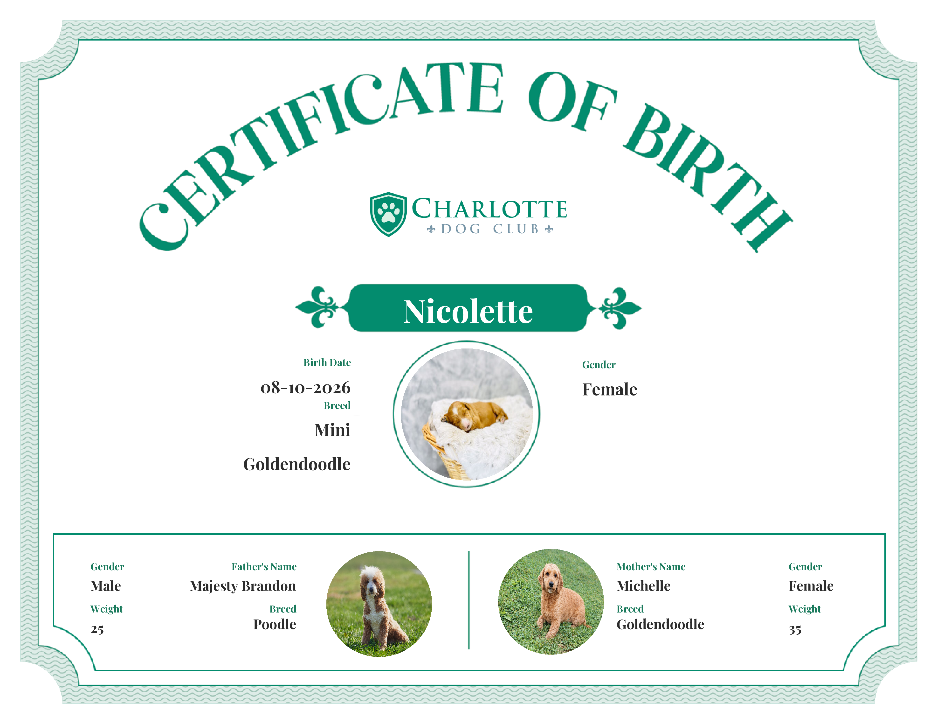 Nicolette's Birth Certificate