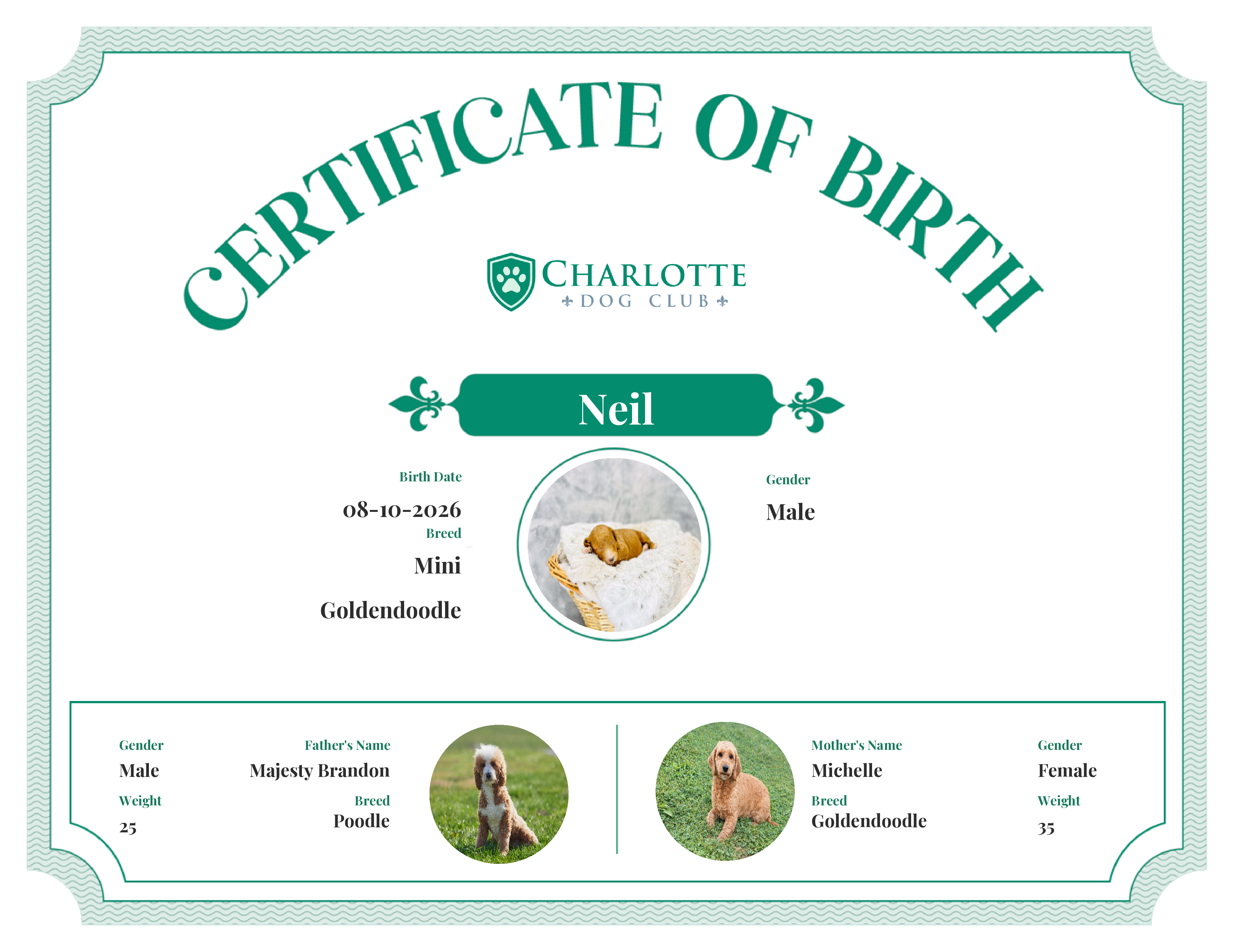 Neil's Birth Certificate