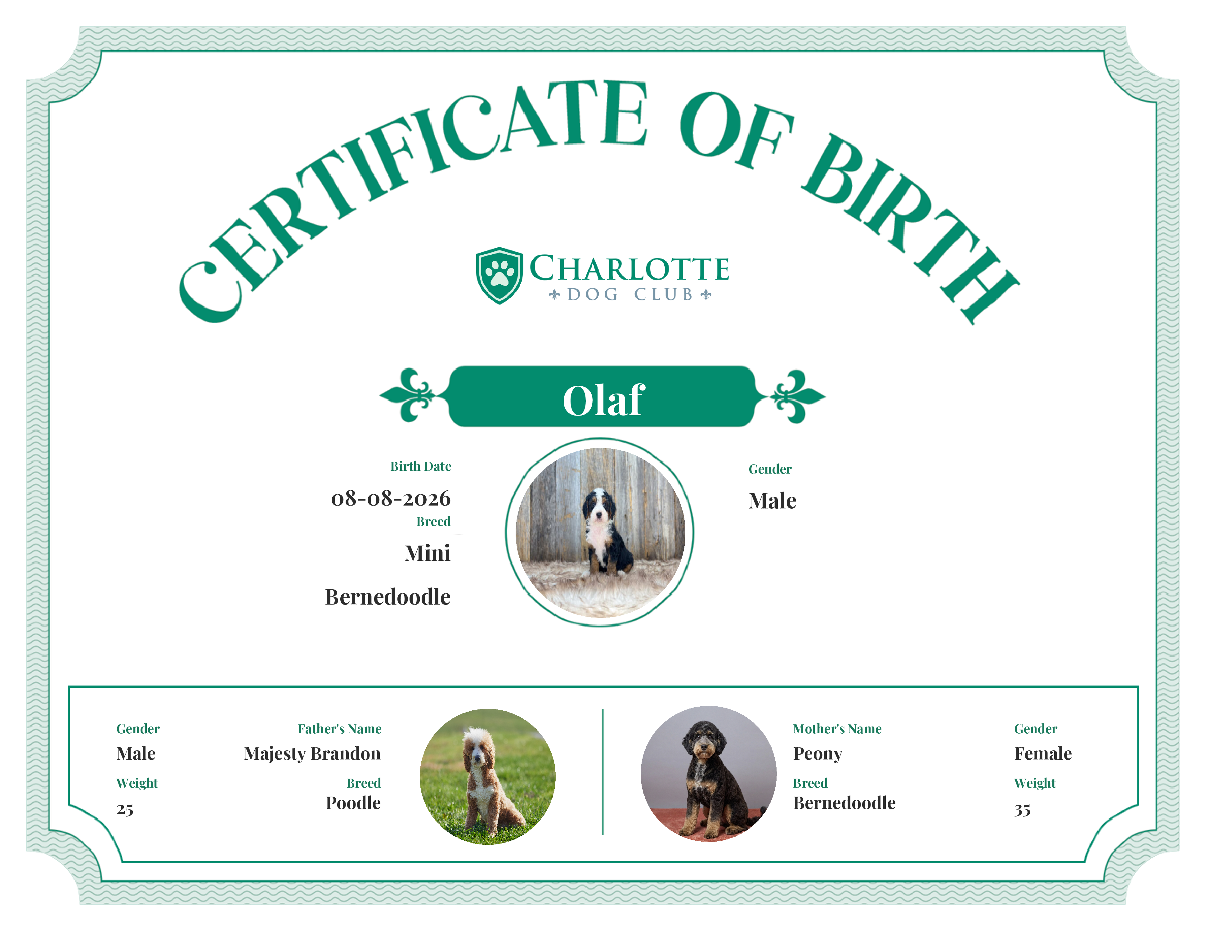 Olaf's Birth Certificate
