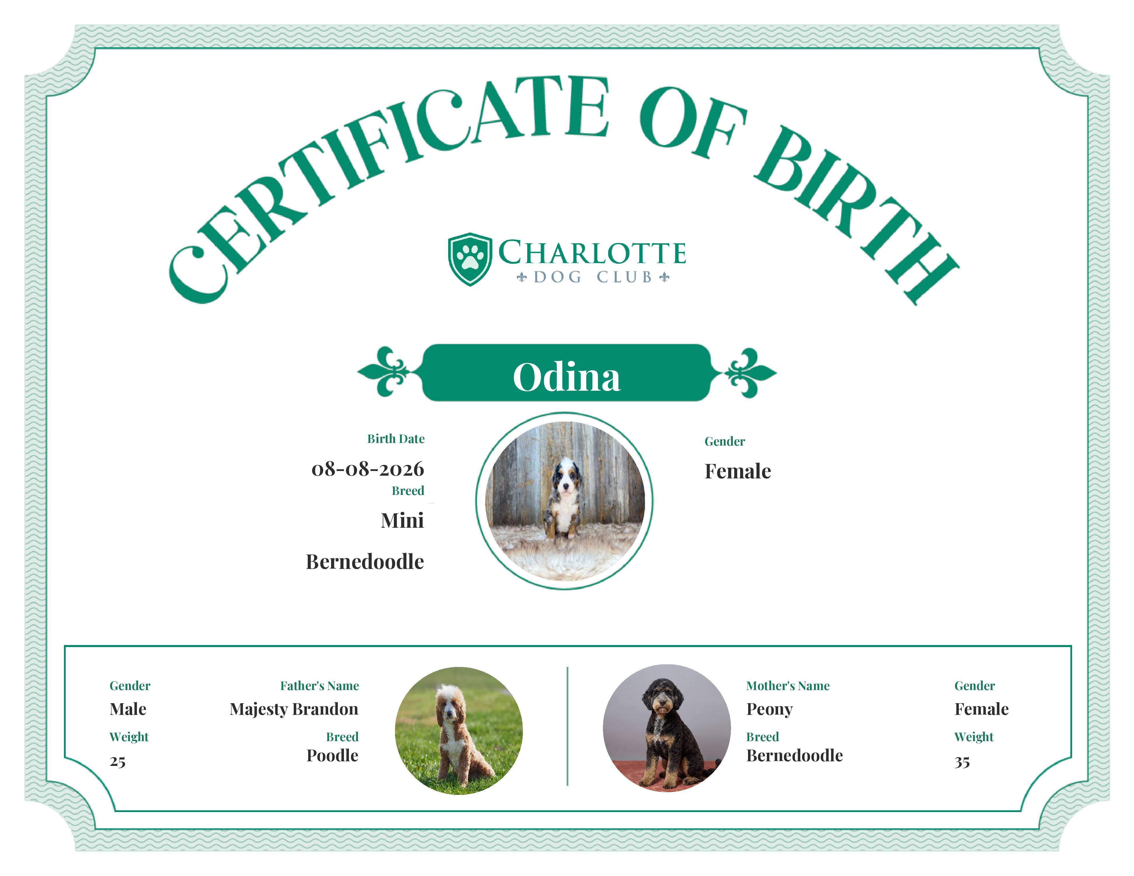 Odina's Birth Certificate