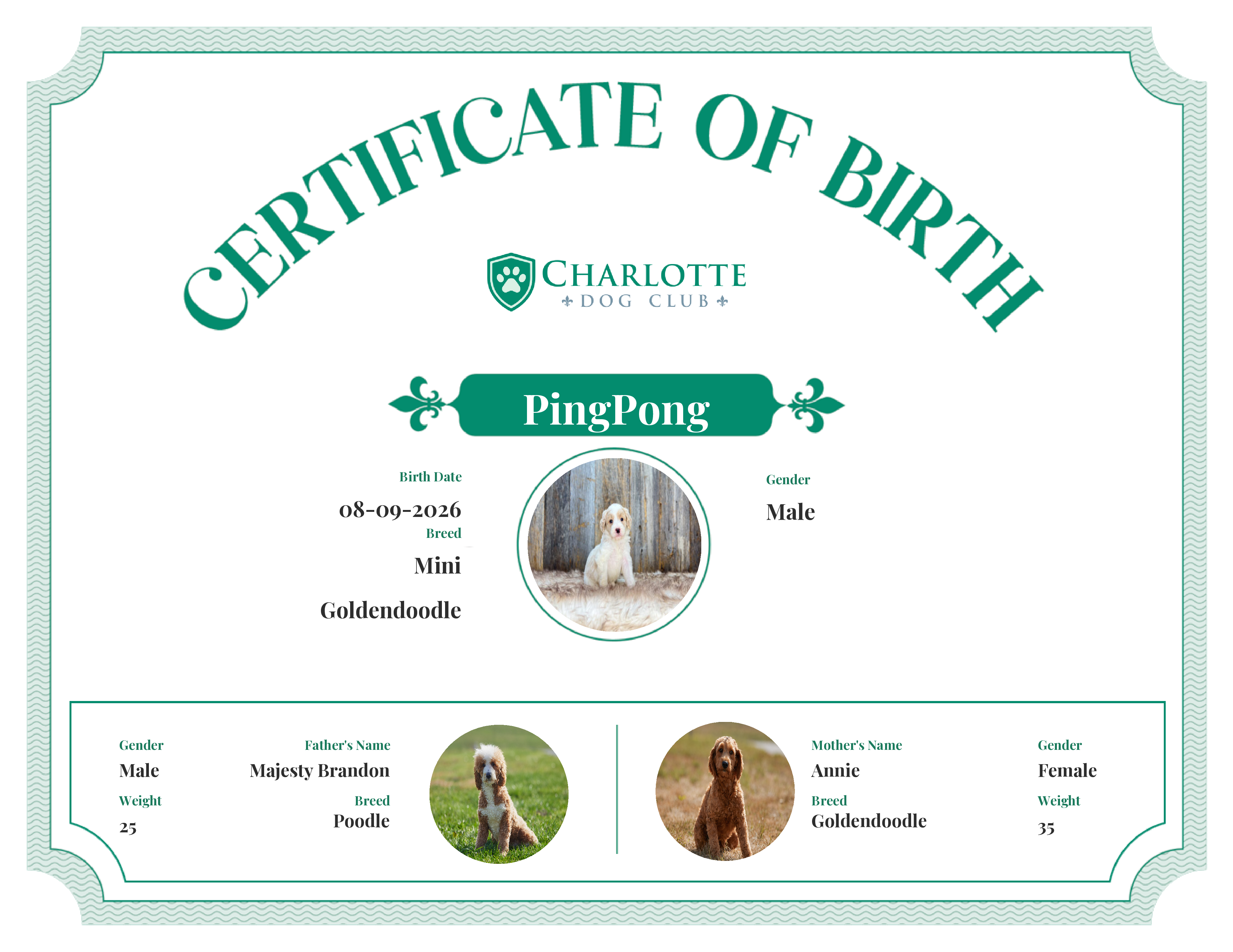 PingPong's Birth Certificate