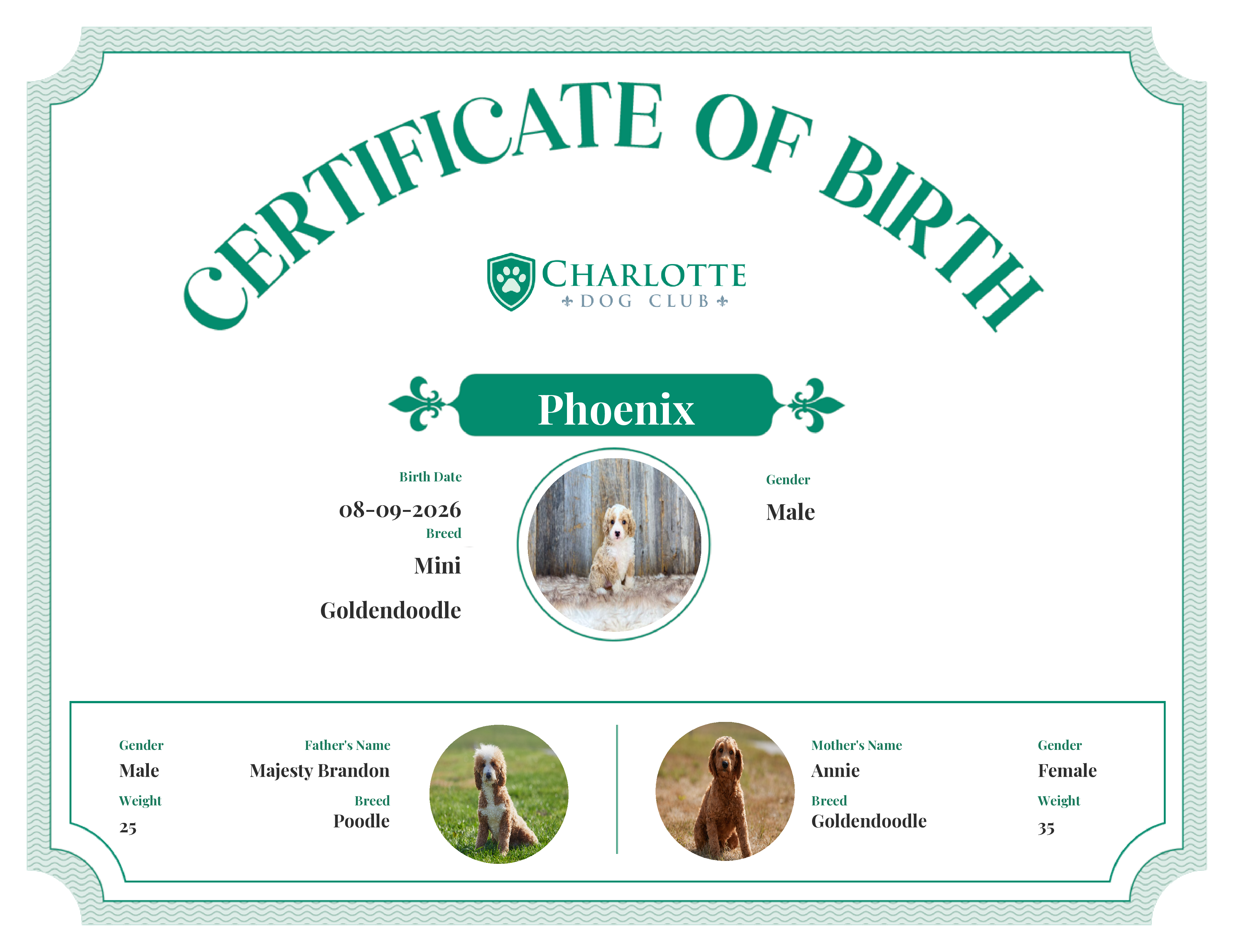 Phoenix's Birth Certificate