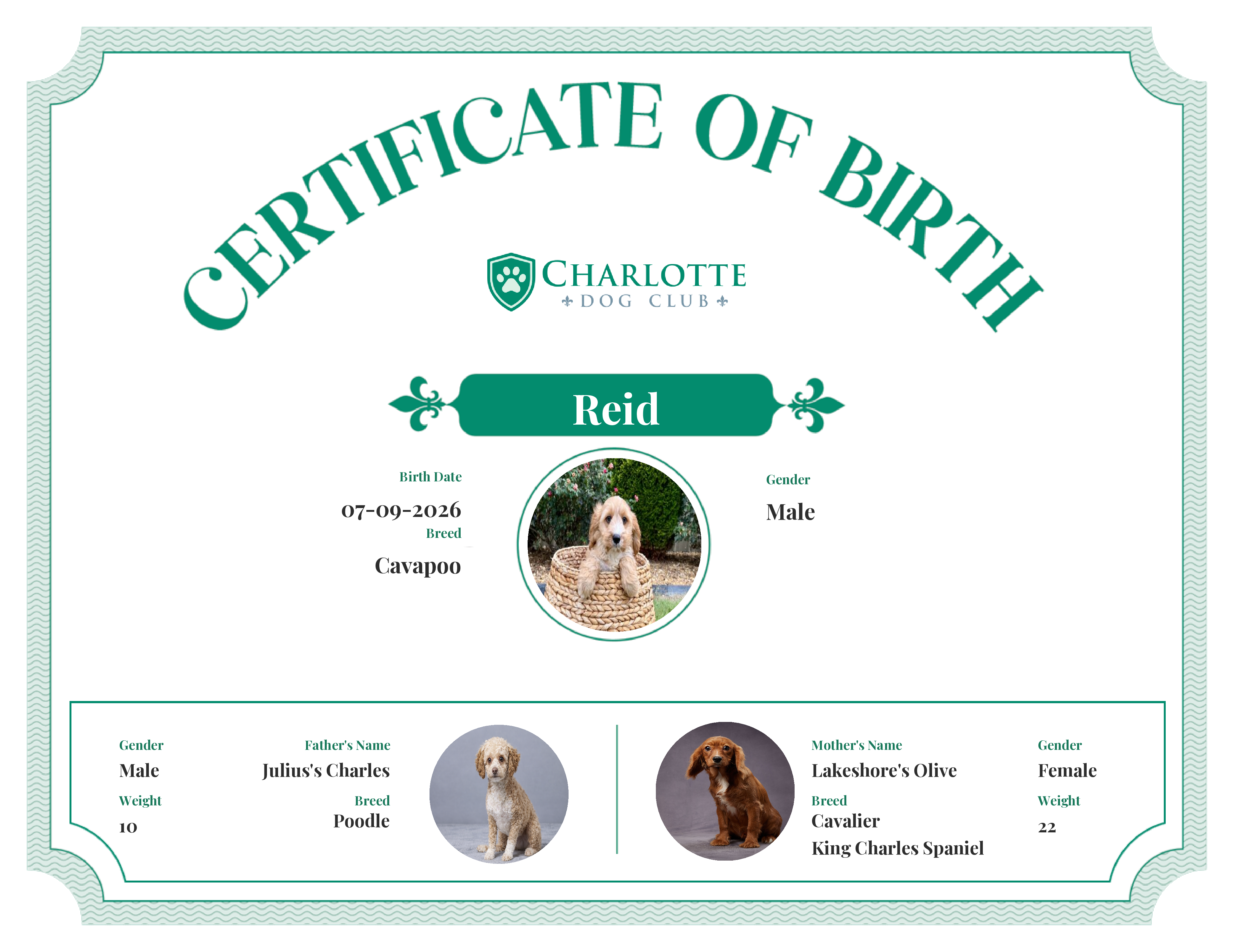 Reid's Birth Certificate