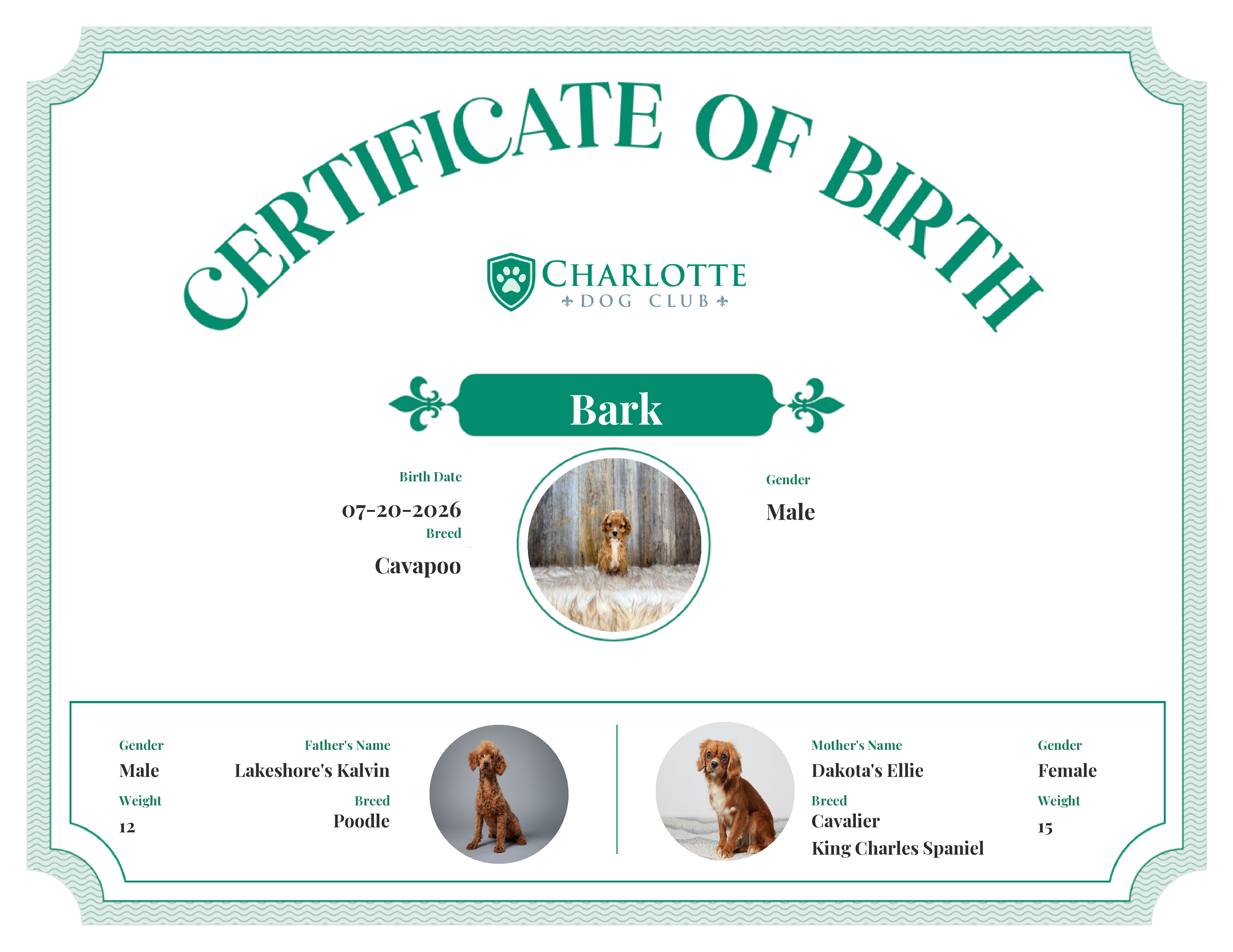 Bark's Birth Certificate
