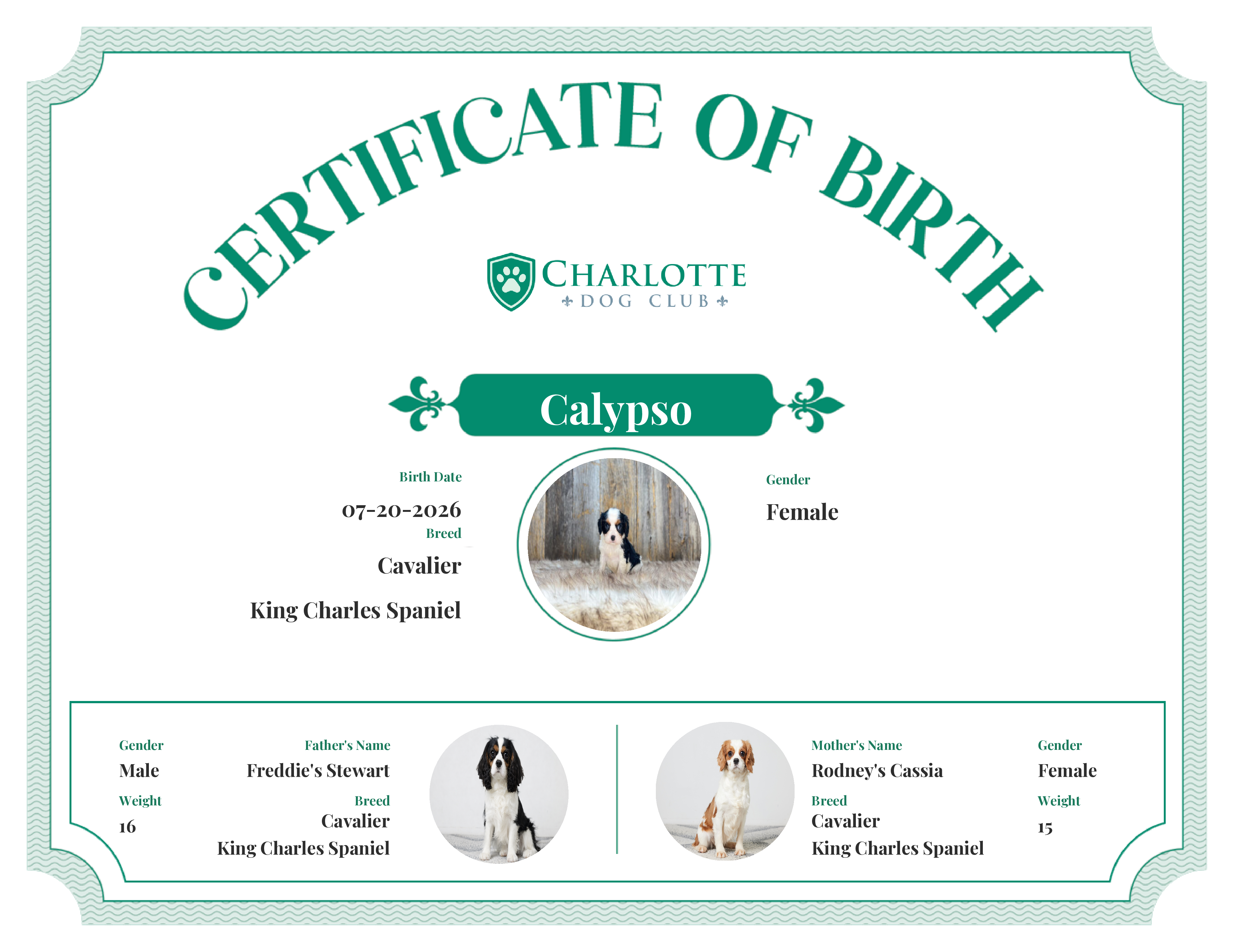 Calypso's Birth Certificate