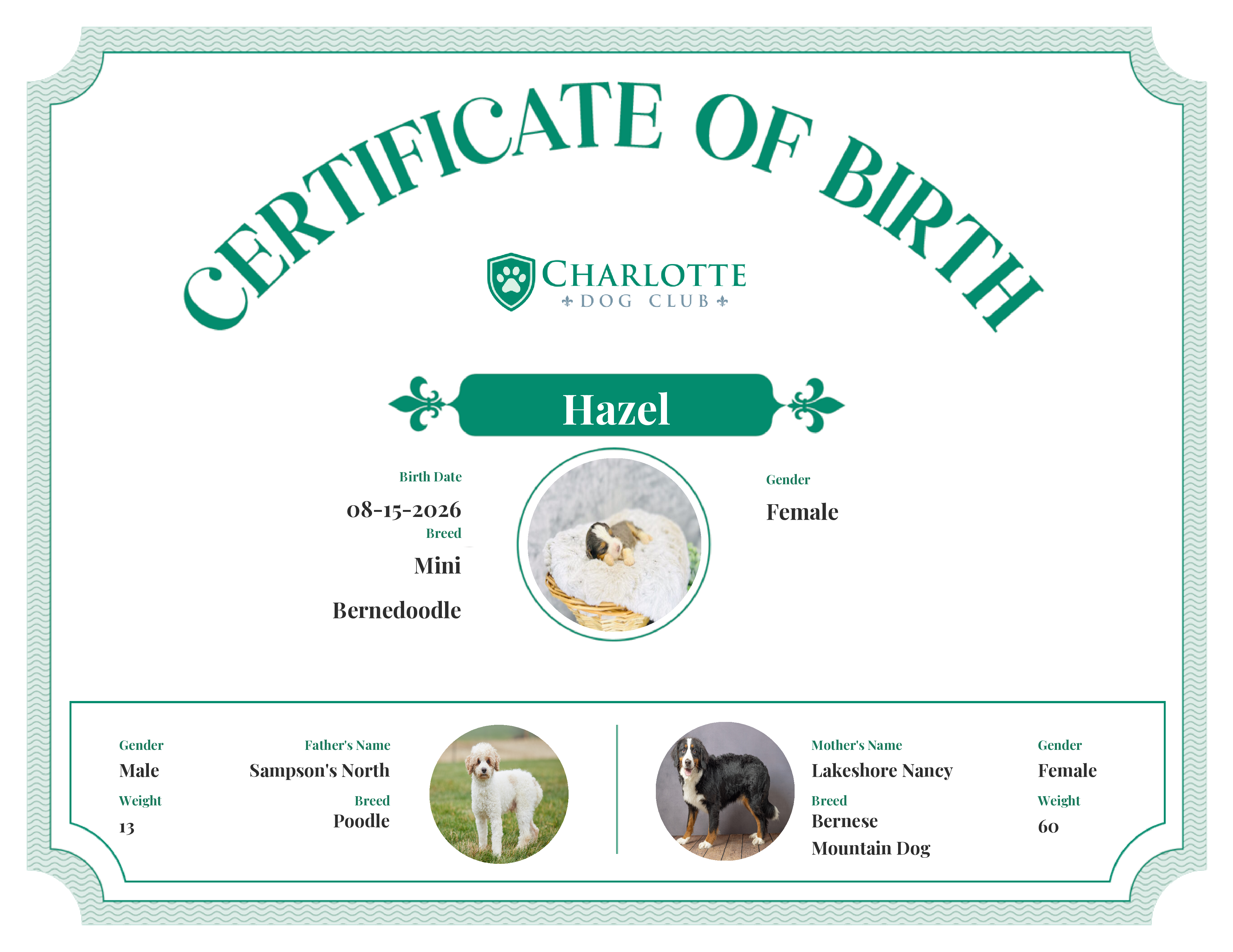 Hazel's Birth Certificate