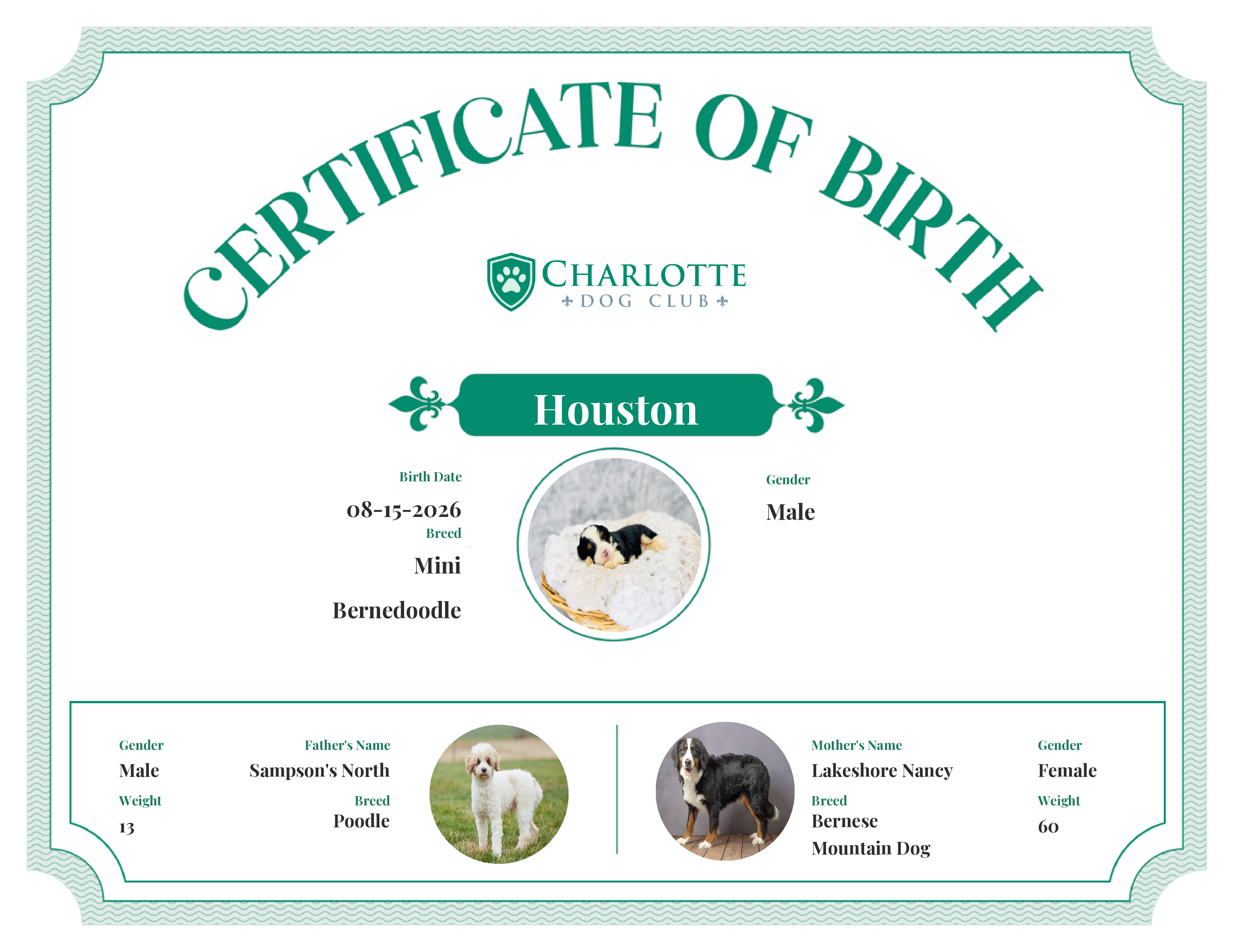 Houston's Birth Certificate