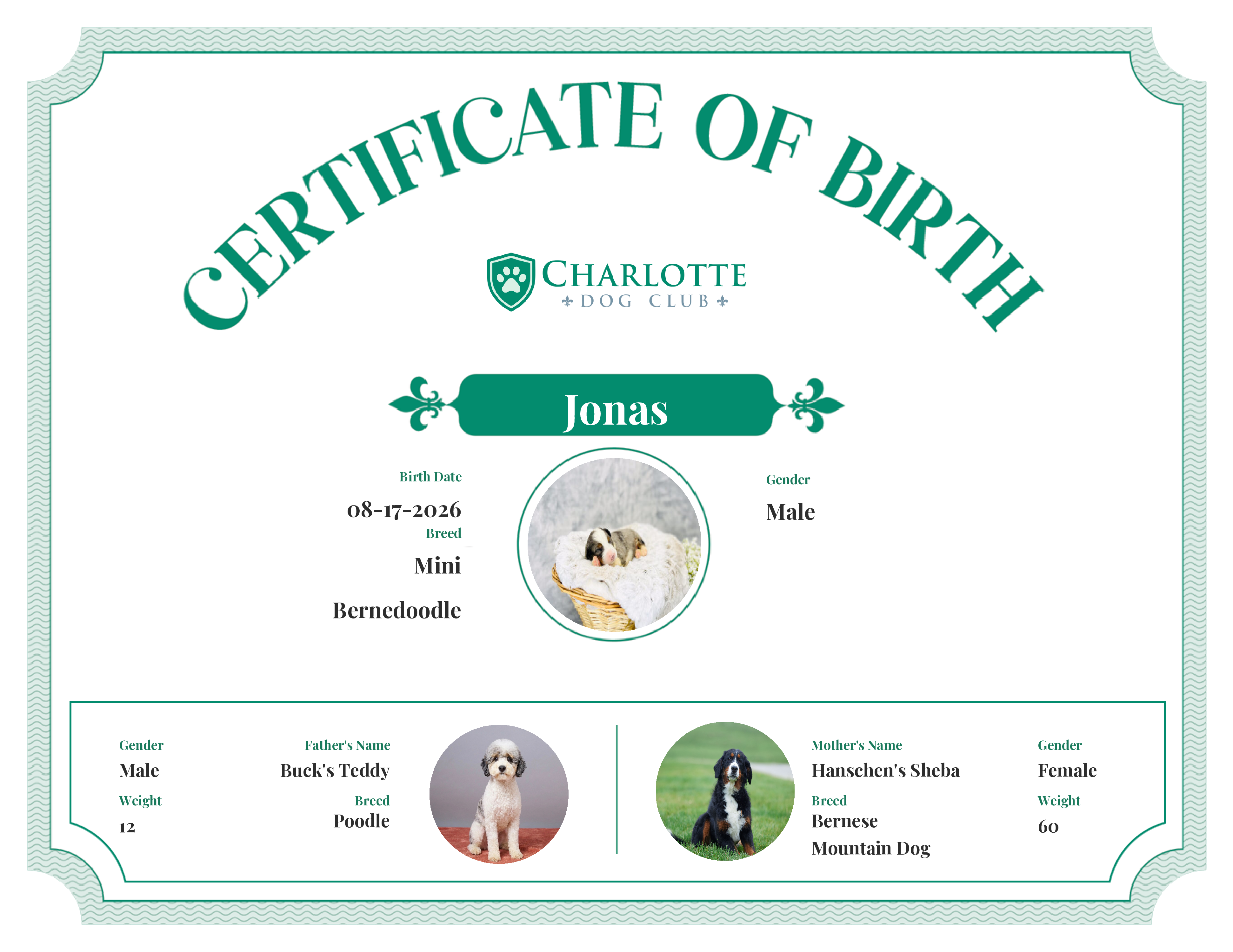 Jonas's Birth Certificate