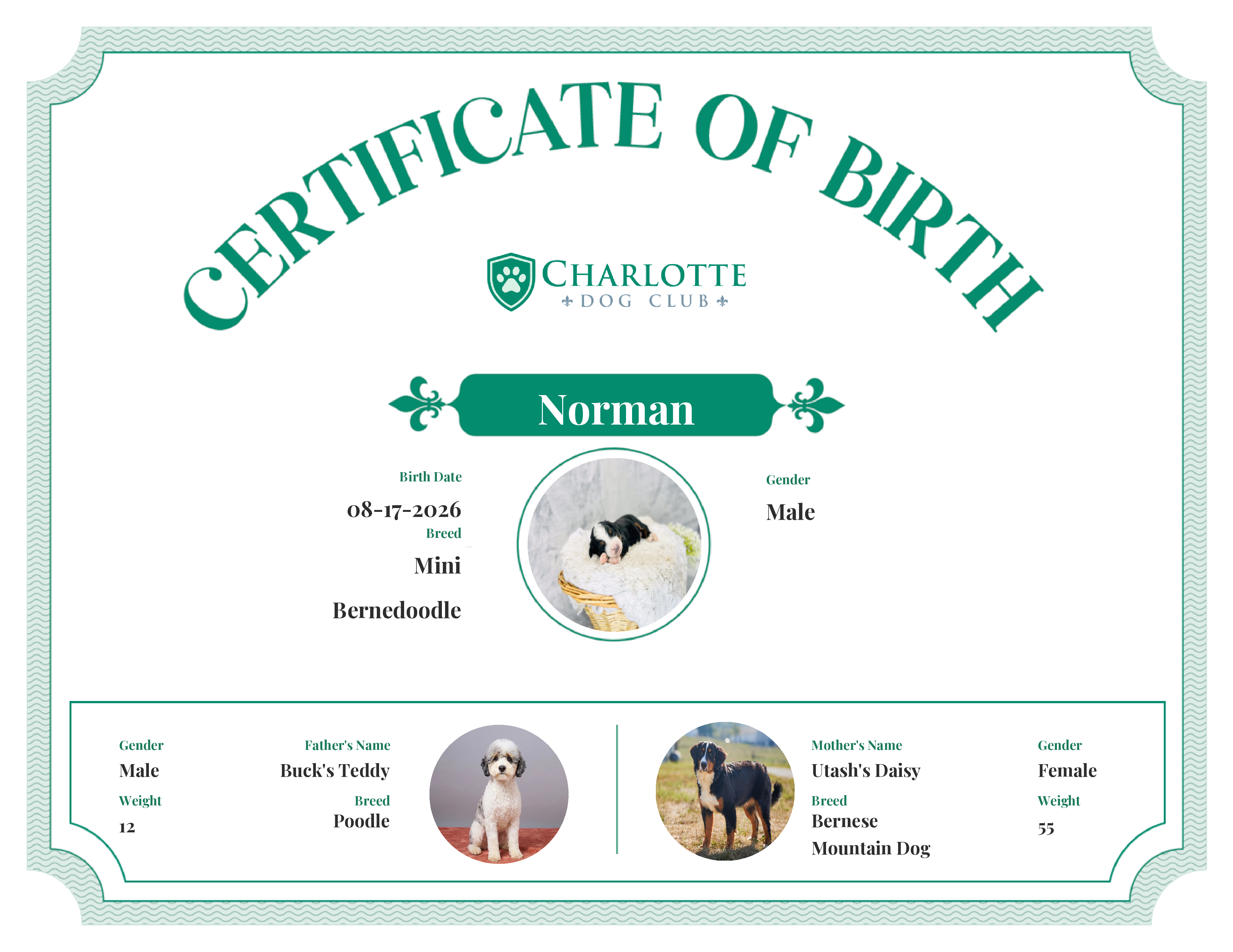 Norman's Birth Certificate