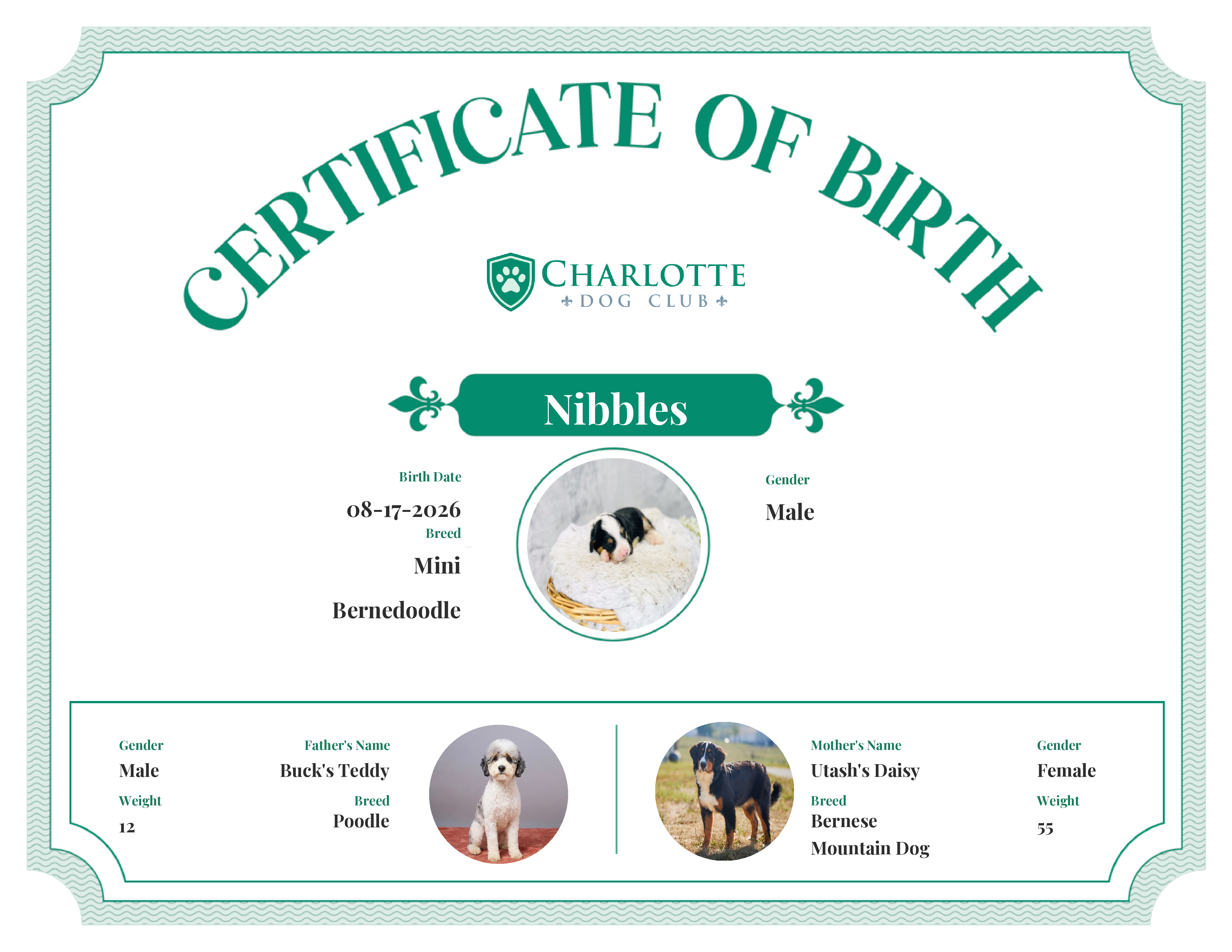 Nibbles's Birth Certificate