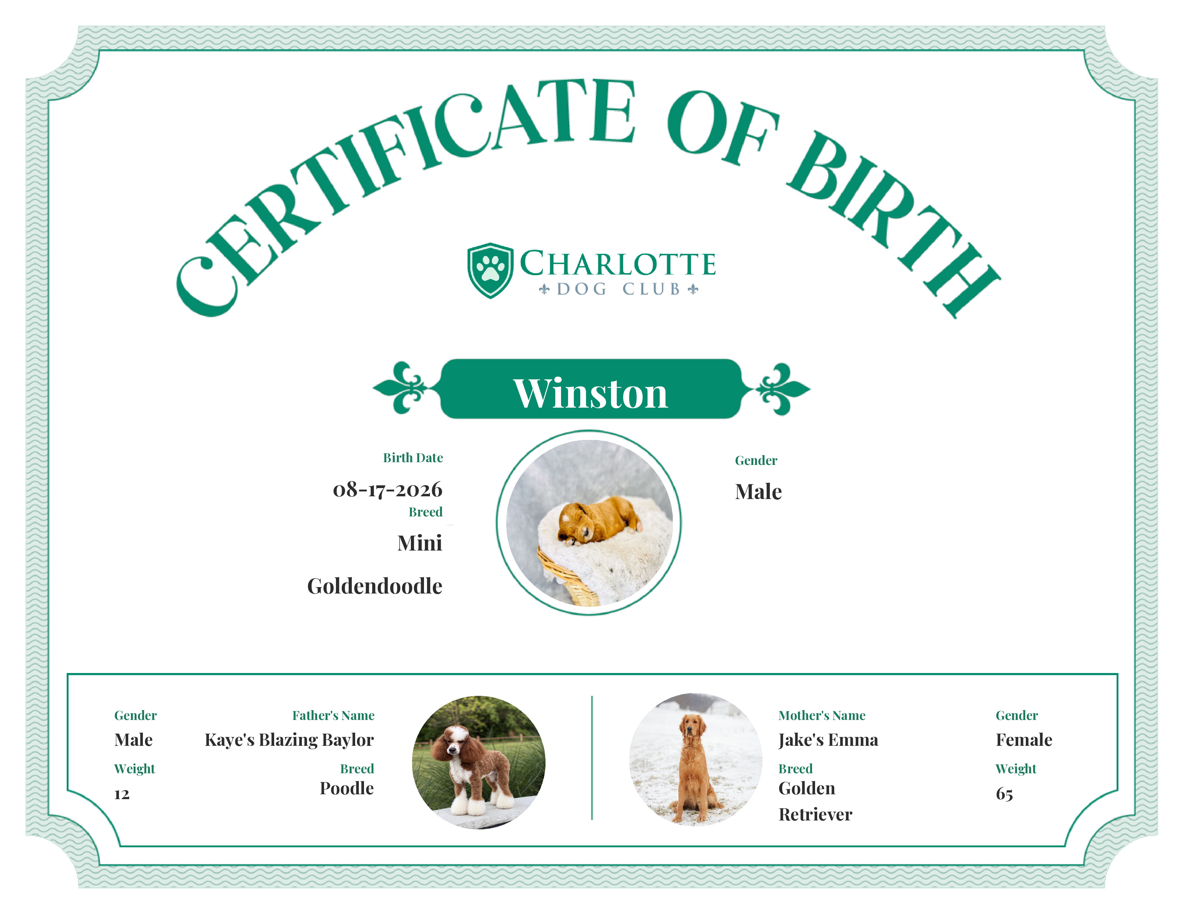 Winston's Birth Certificate