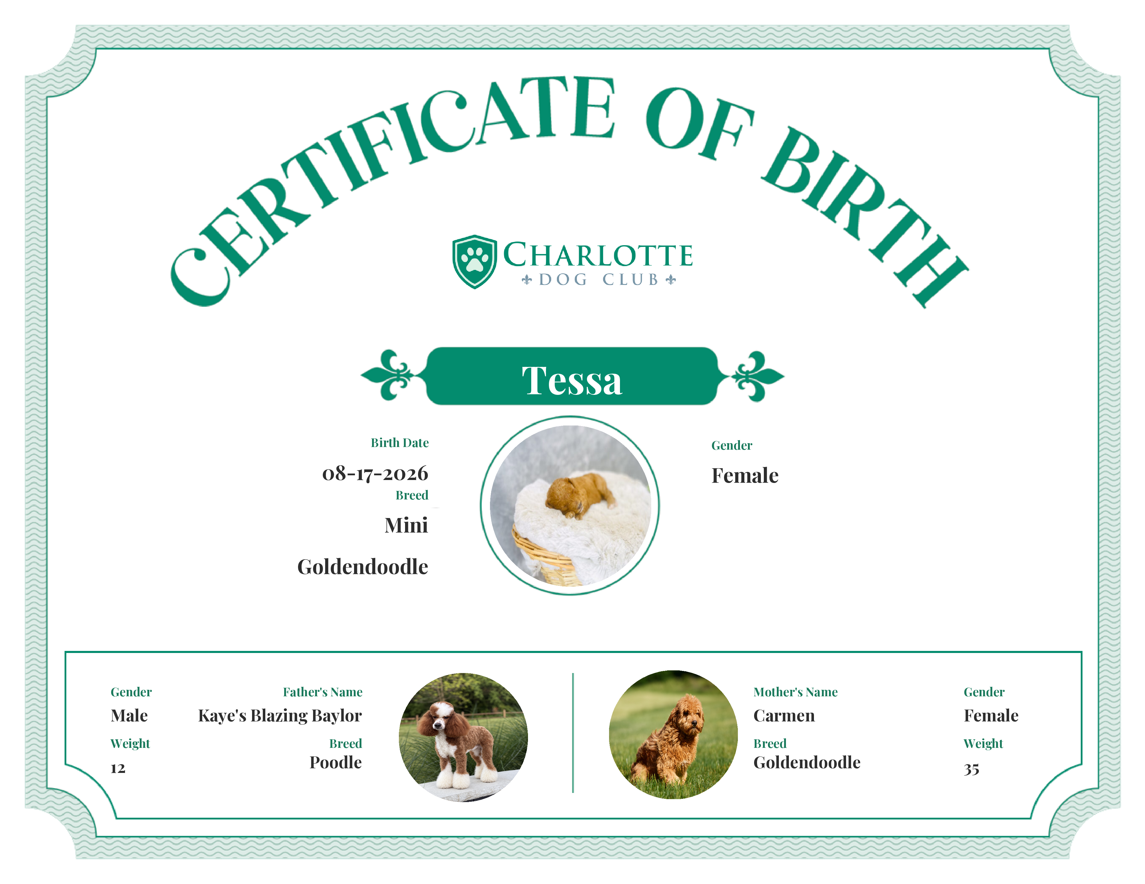 Tessa's Birth Certificate