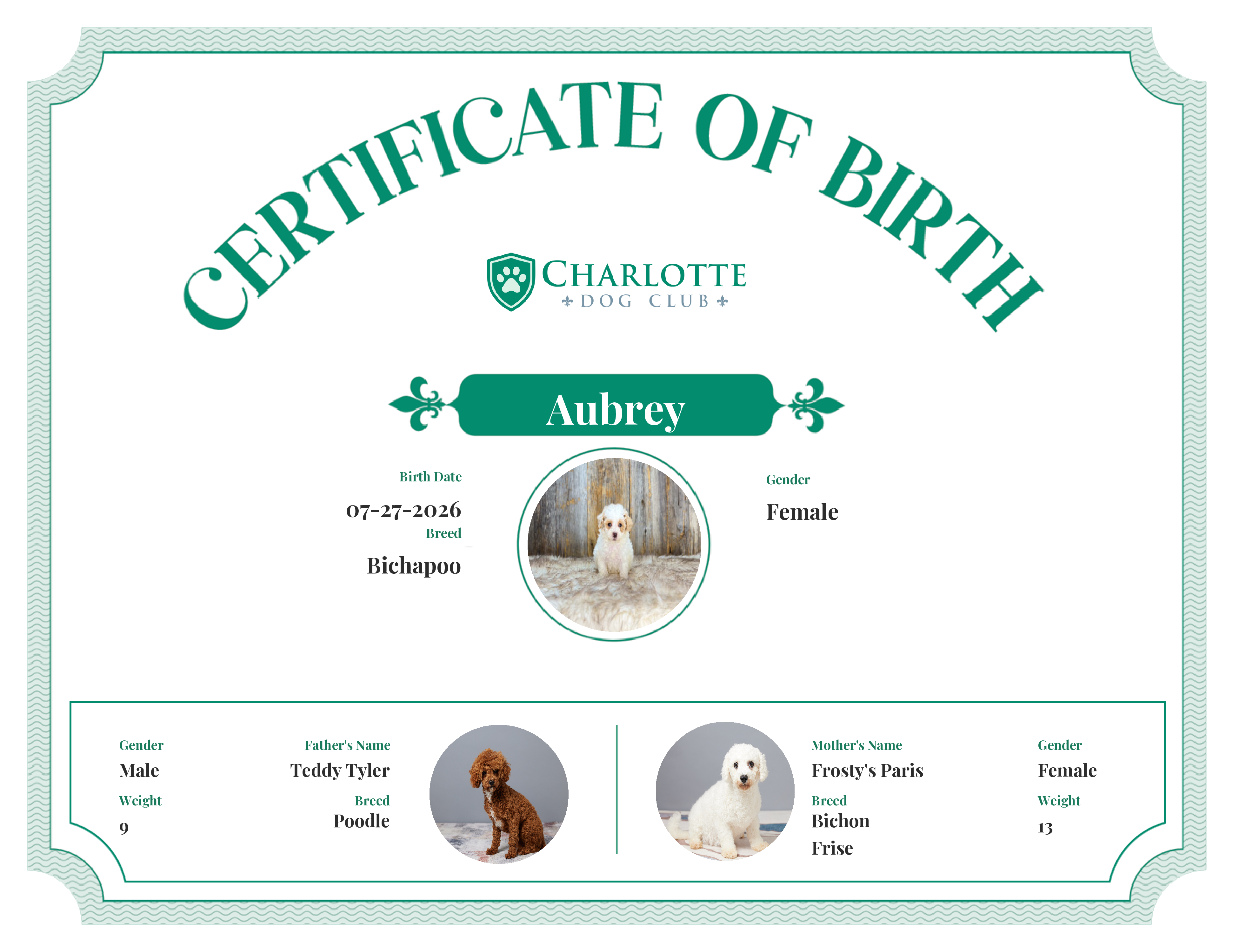 Aubrey's Birth Certificate