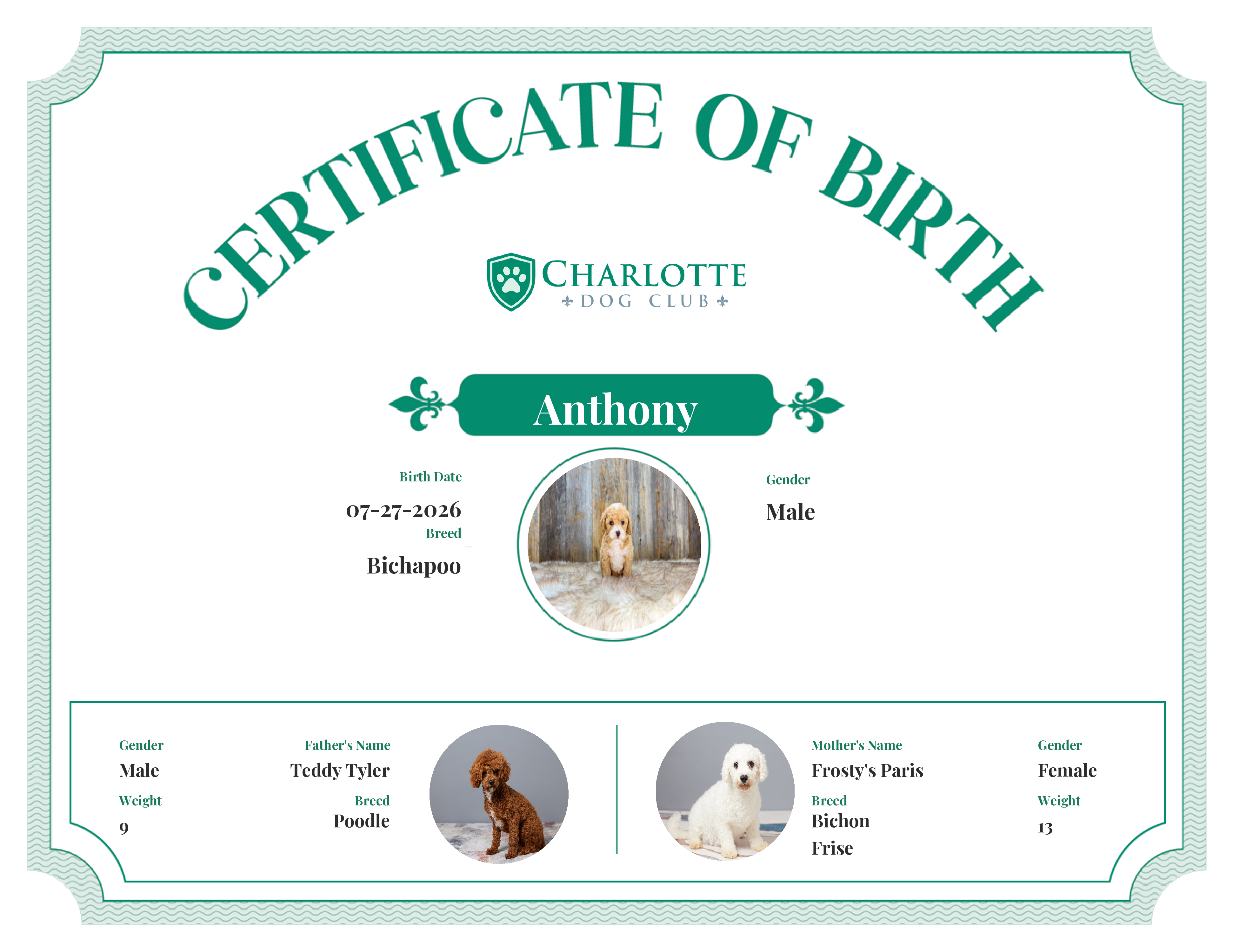 Anthony's Birth Certificate
