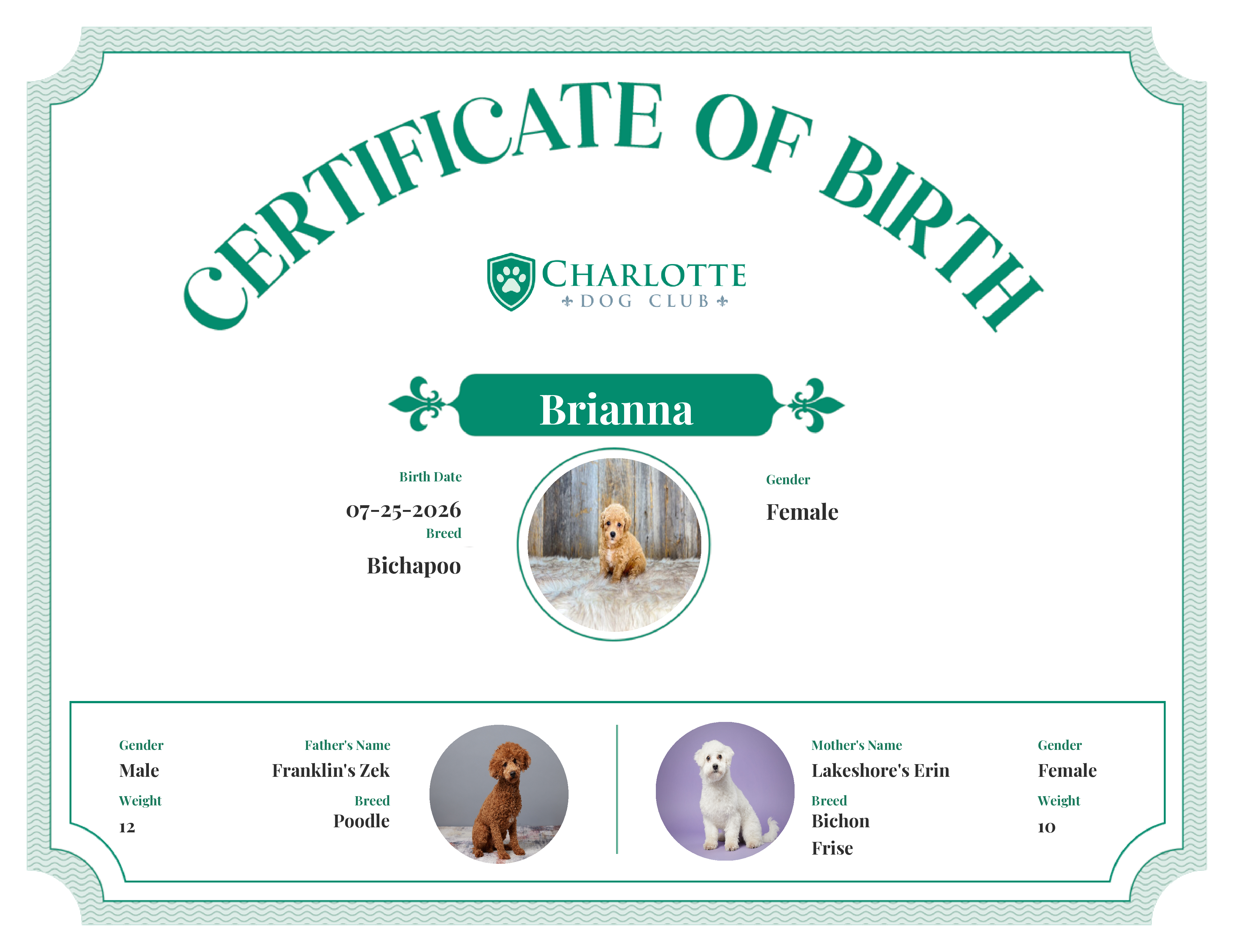 Brianna's Birth Certificate