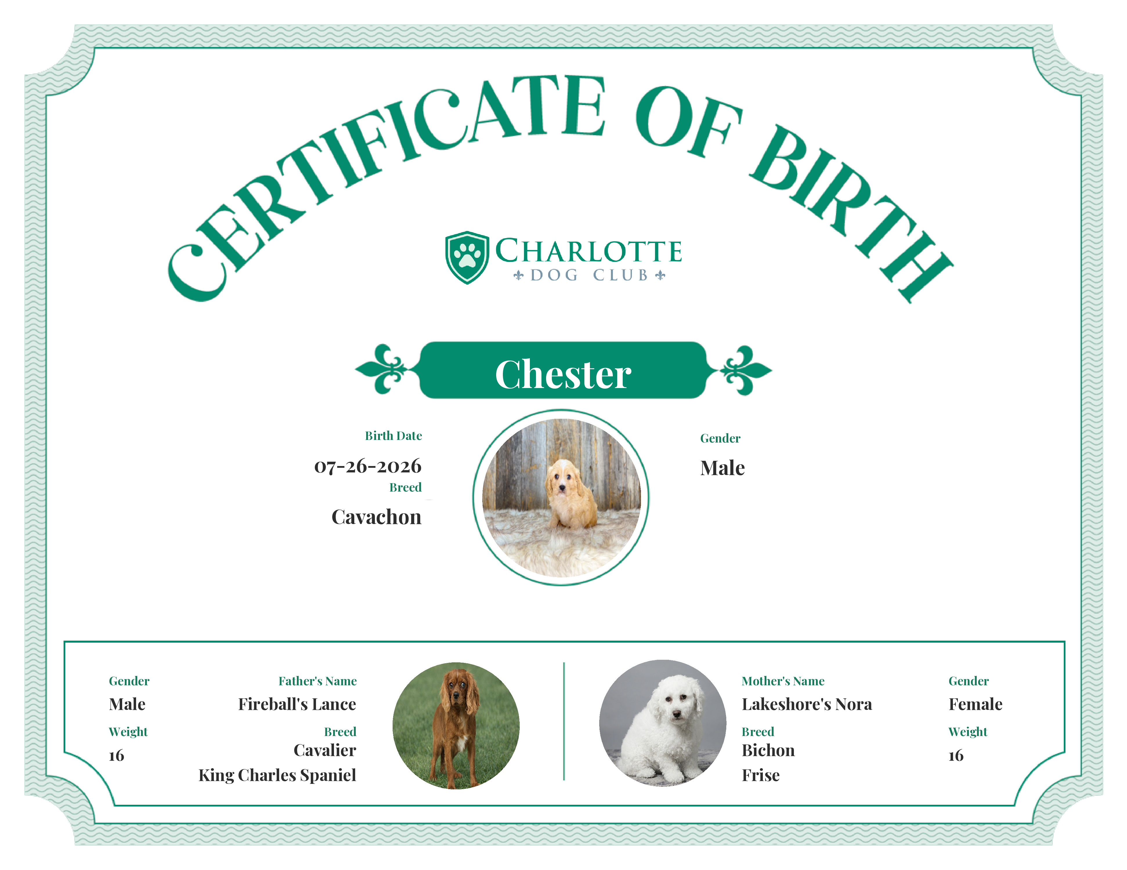 Chester's Birth Certificate