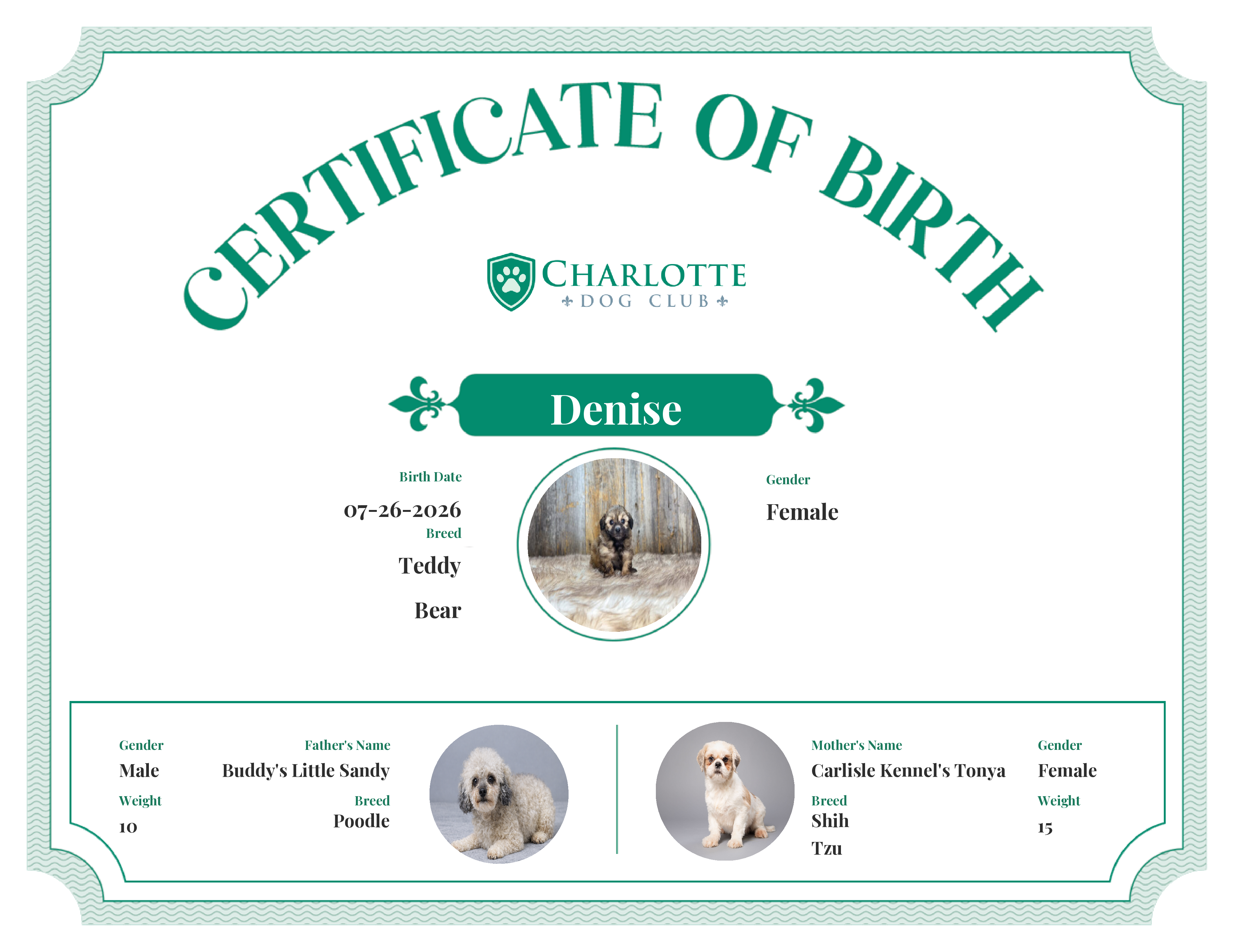 Denise's Birth Certificate