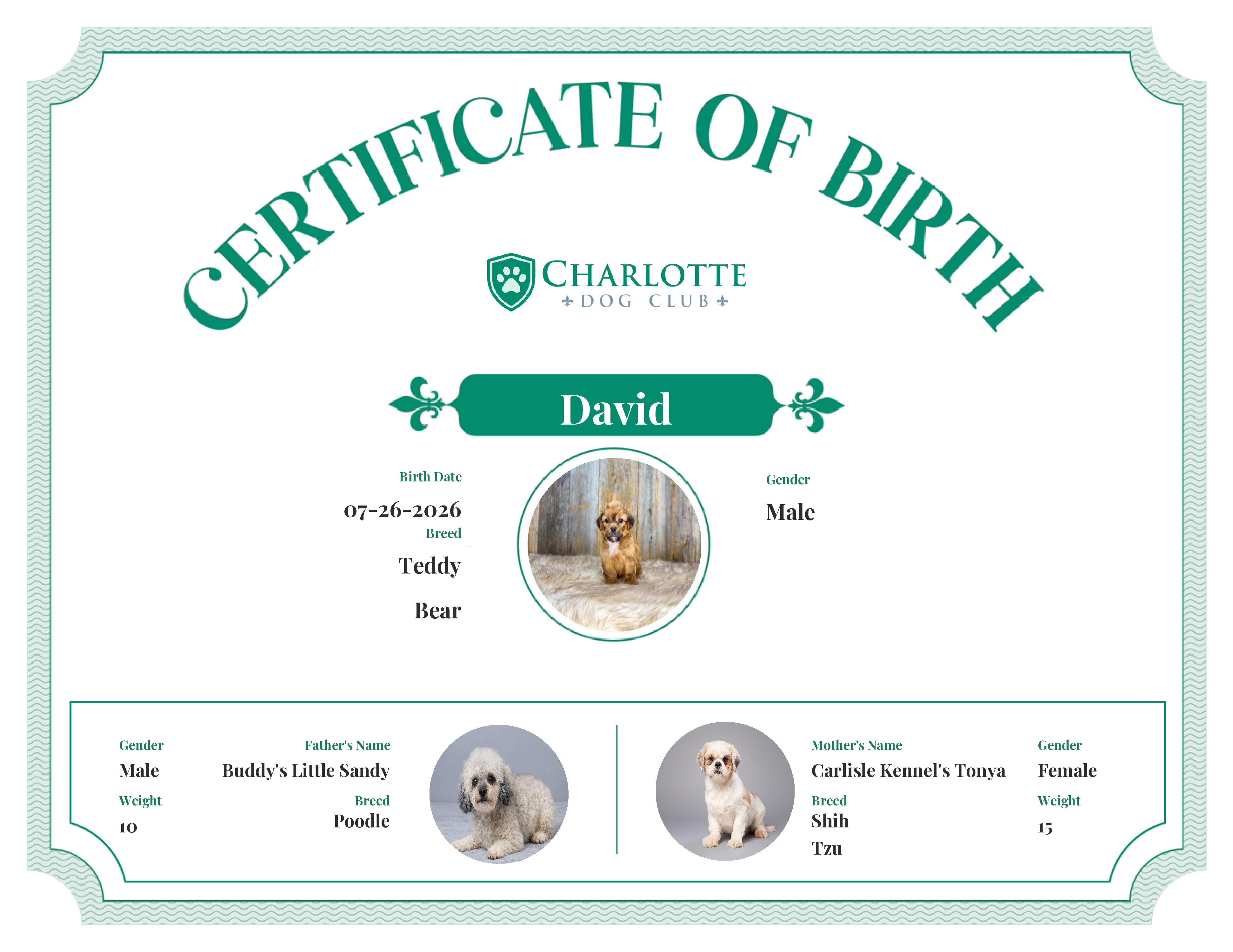 David's Birth Certificate