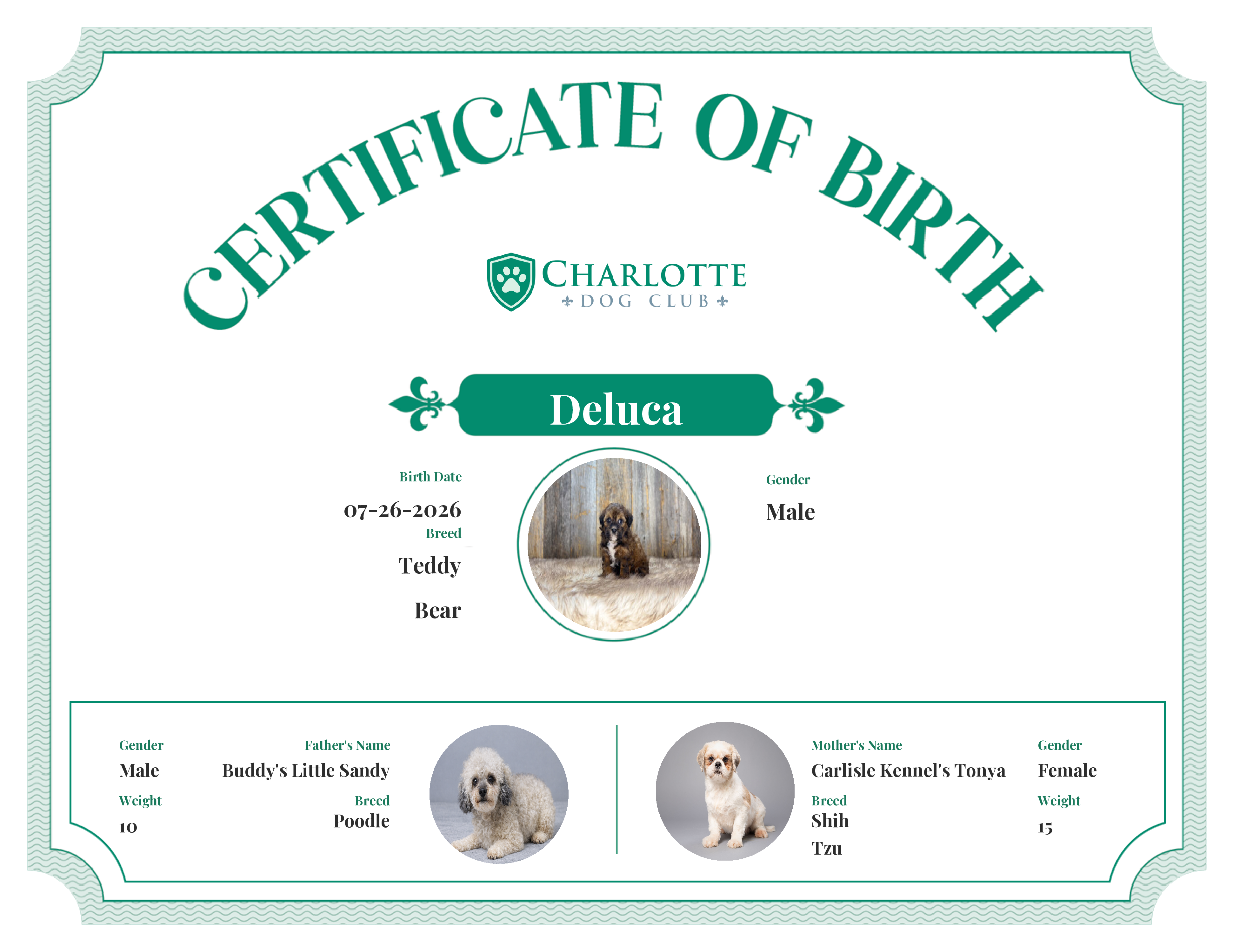 Deluca's Birth Certificate