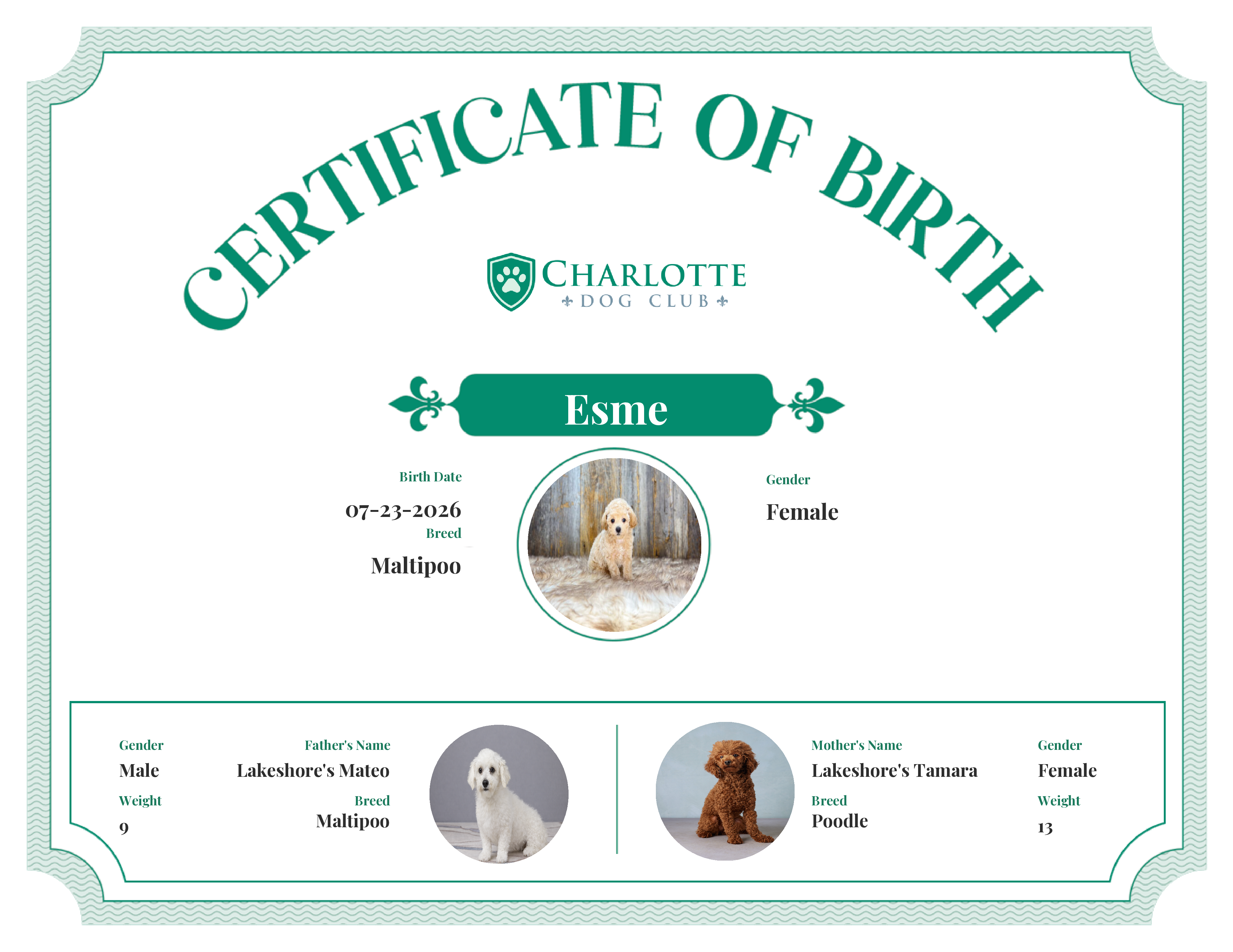 Esme's Birth Certificate