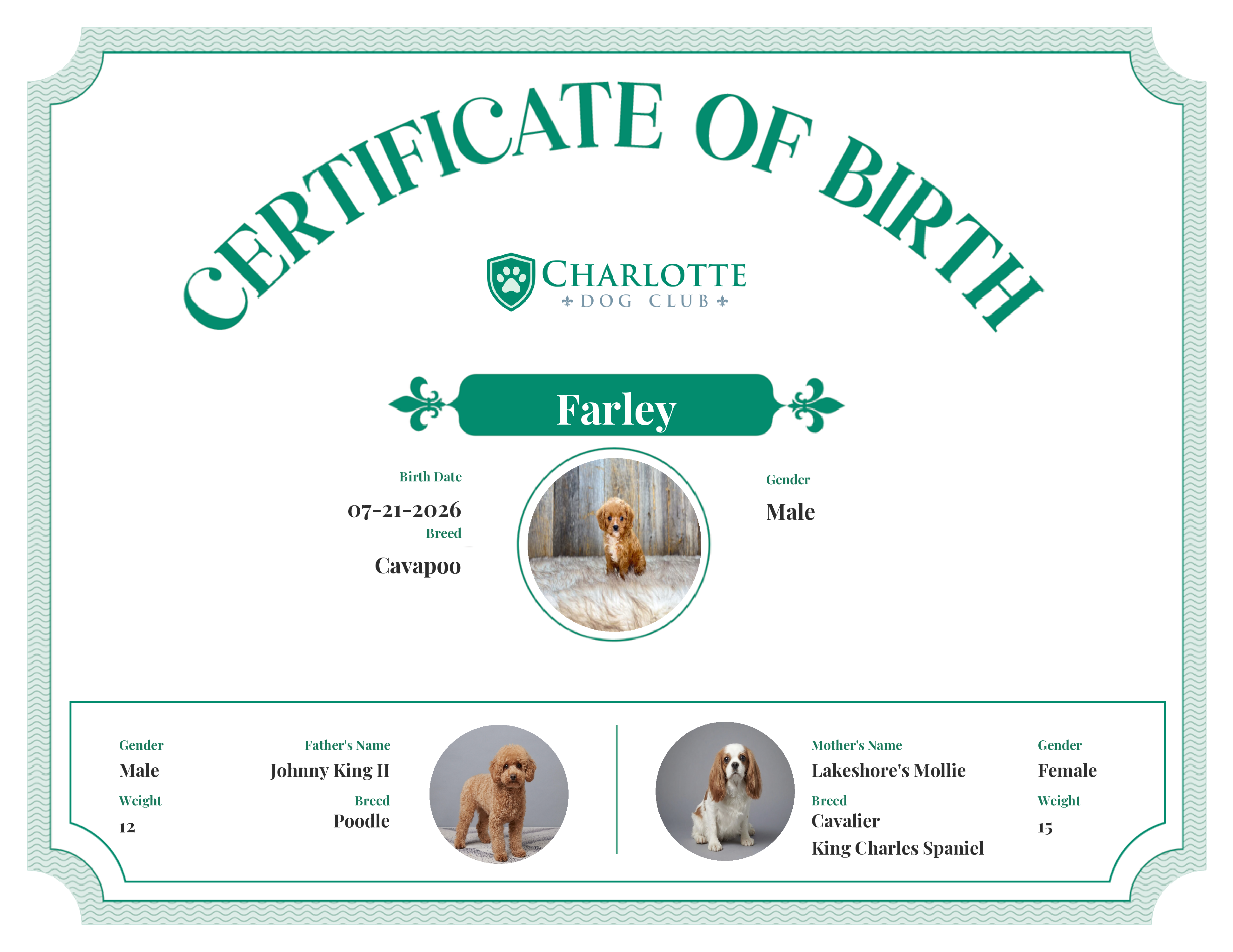 Farley's Birth Certificate