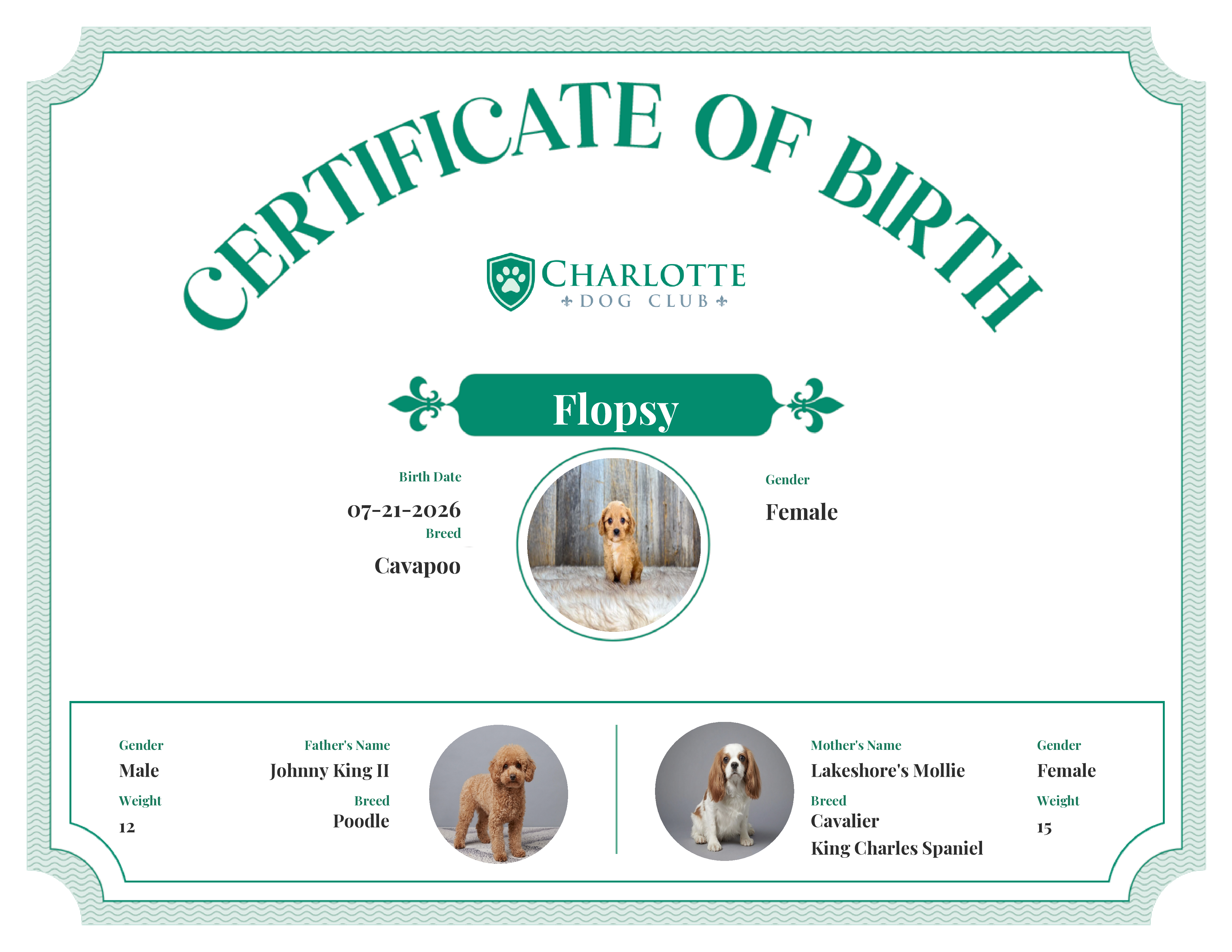 Flopsy's Birth Certificate